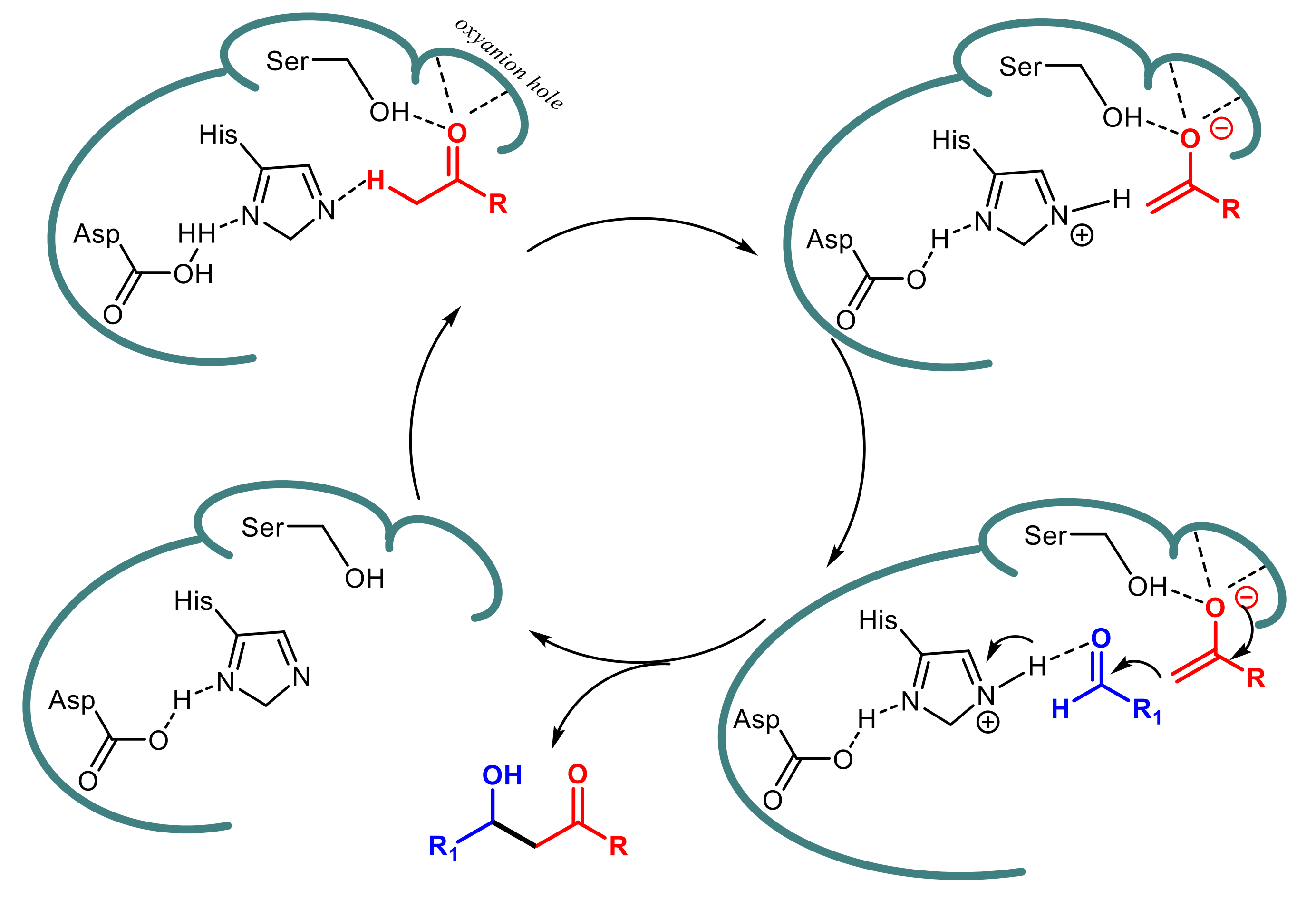 Ijms 23 02675 sch008