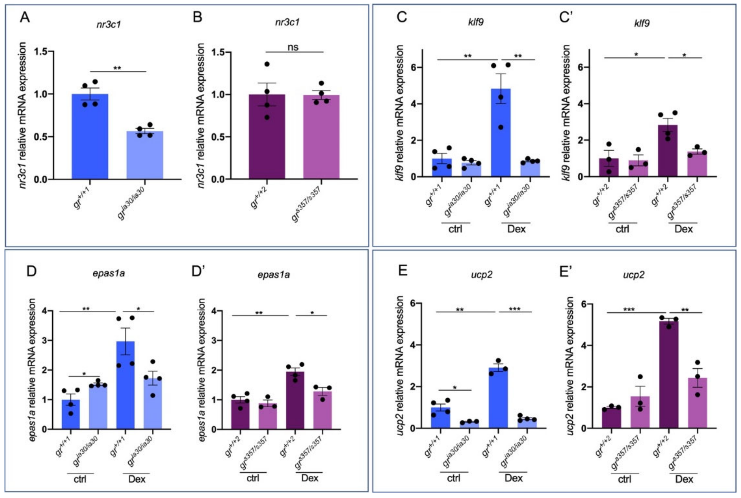 Ijms 23 02678 g001 Ijms 23 02678 g001