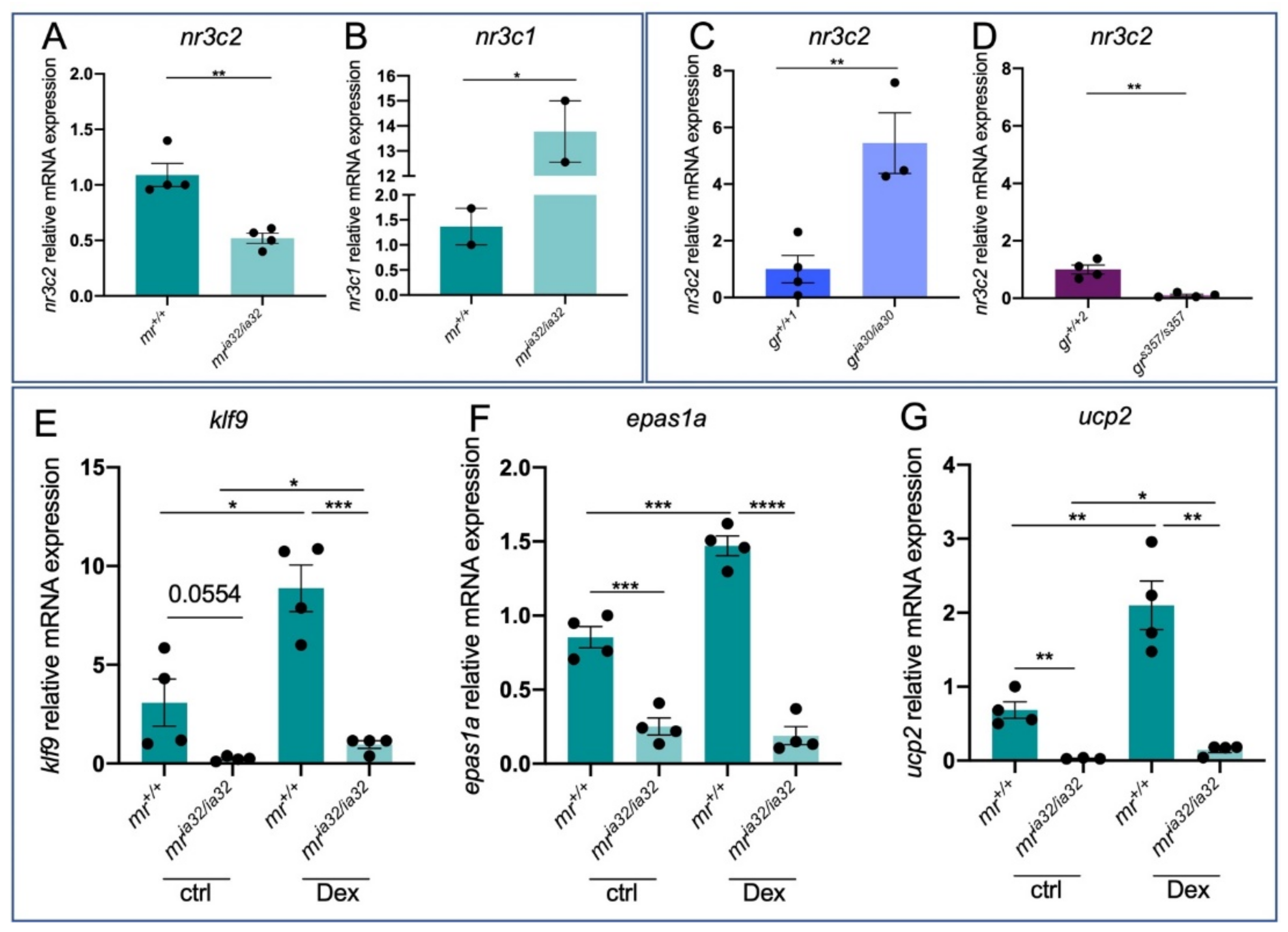 Ijms 23 02678 g002 Ijms 23 02678 g002