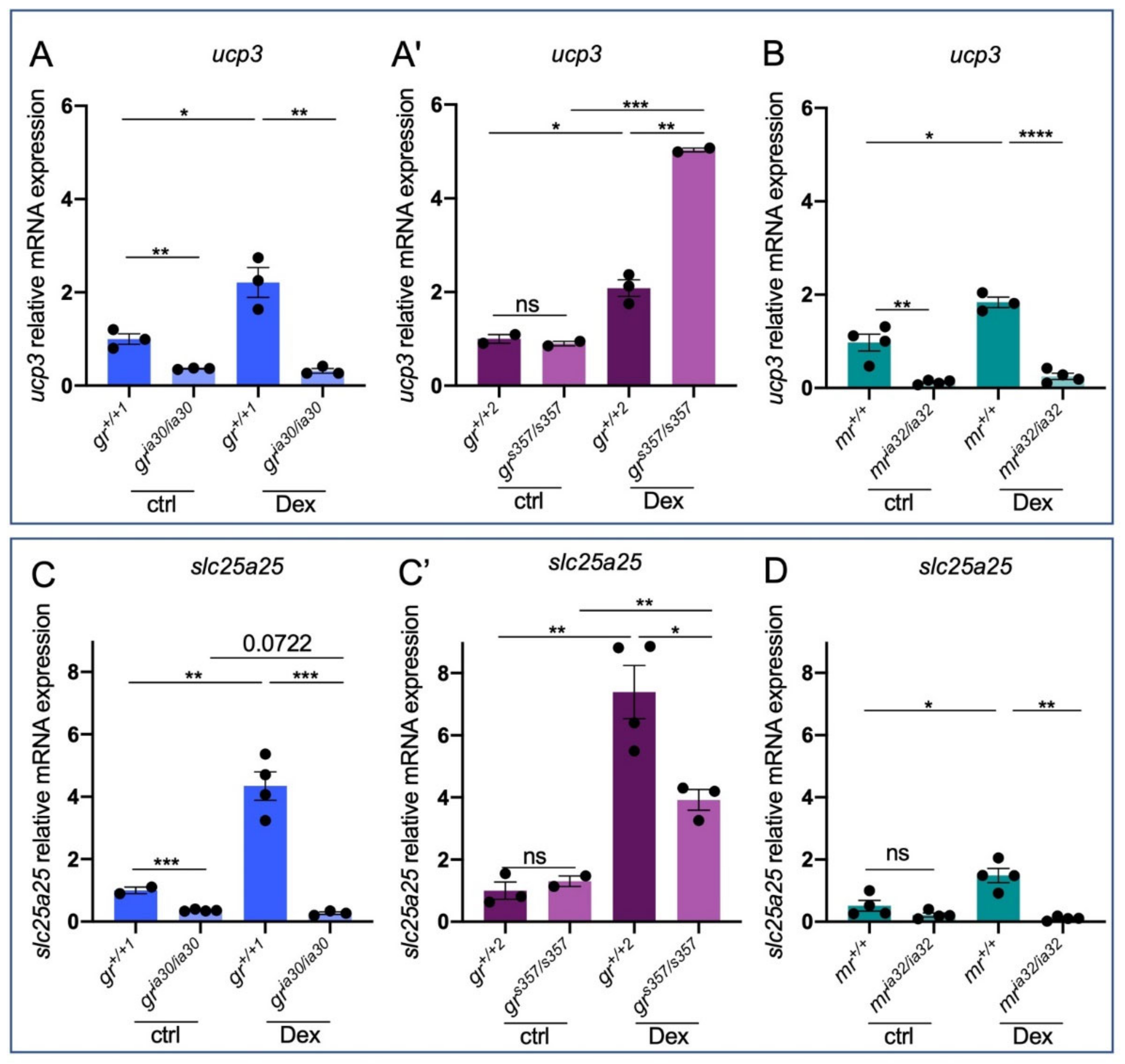 Ijms 23 02678 g003 Ijms 23 02678 g003