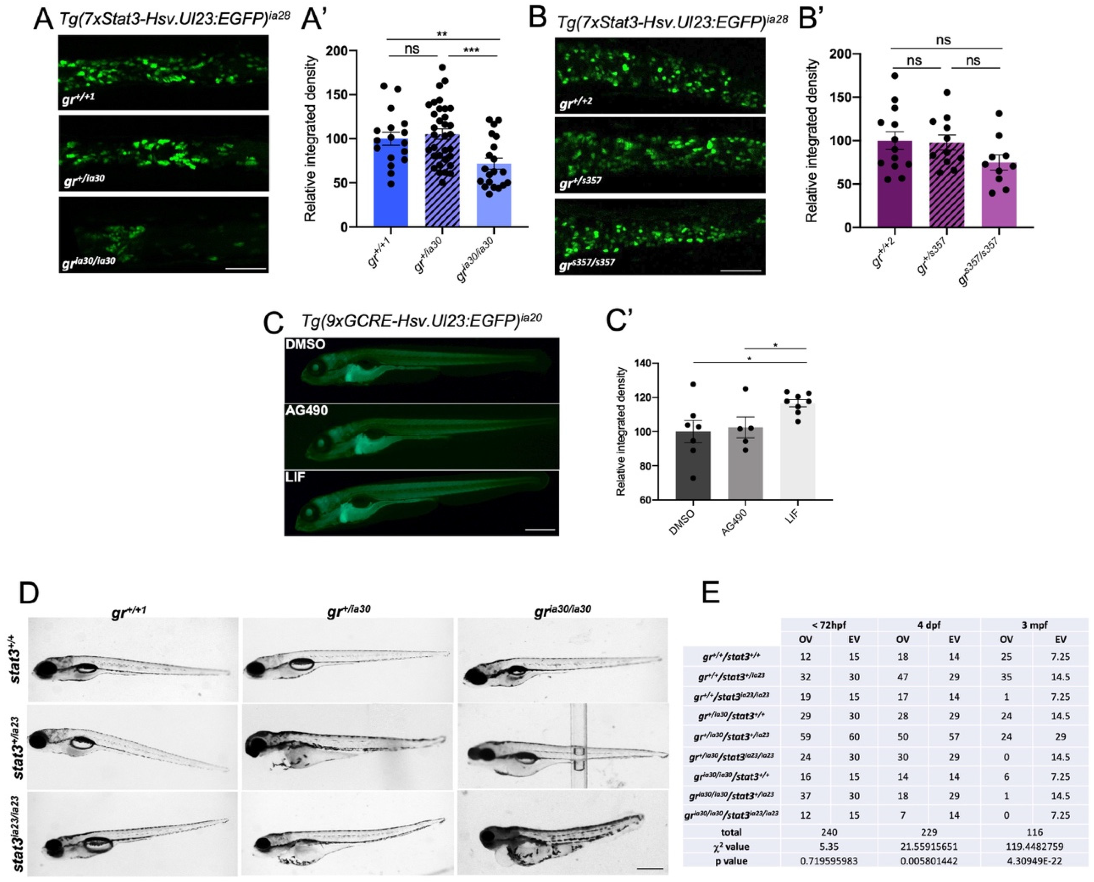 Ijms 23 02678 g004 Ijms 23 02678 g004
