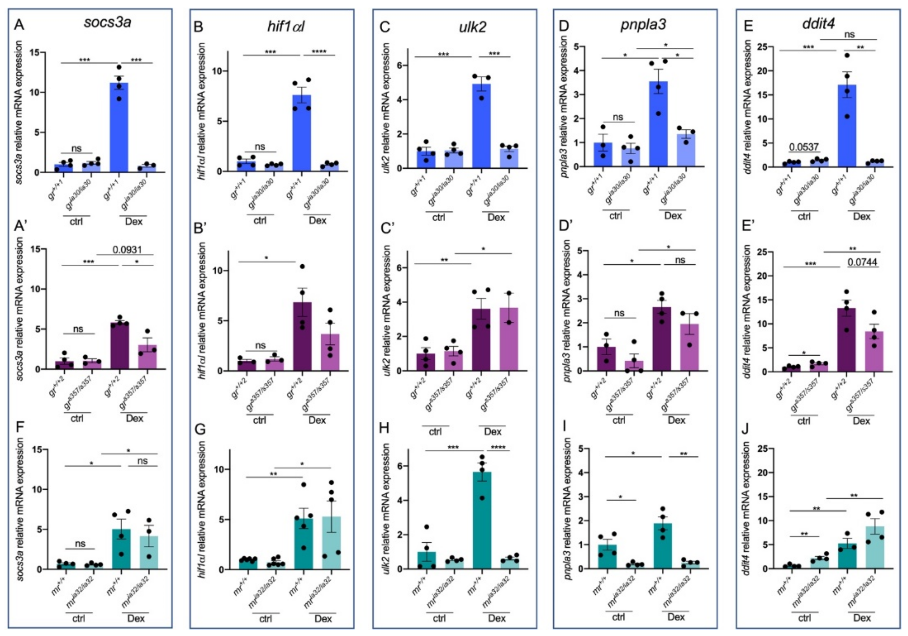 Ijms 23 02678 g005 Ijms 23 02678 g005