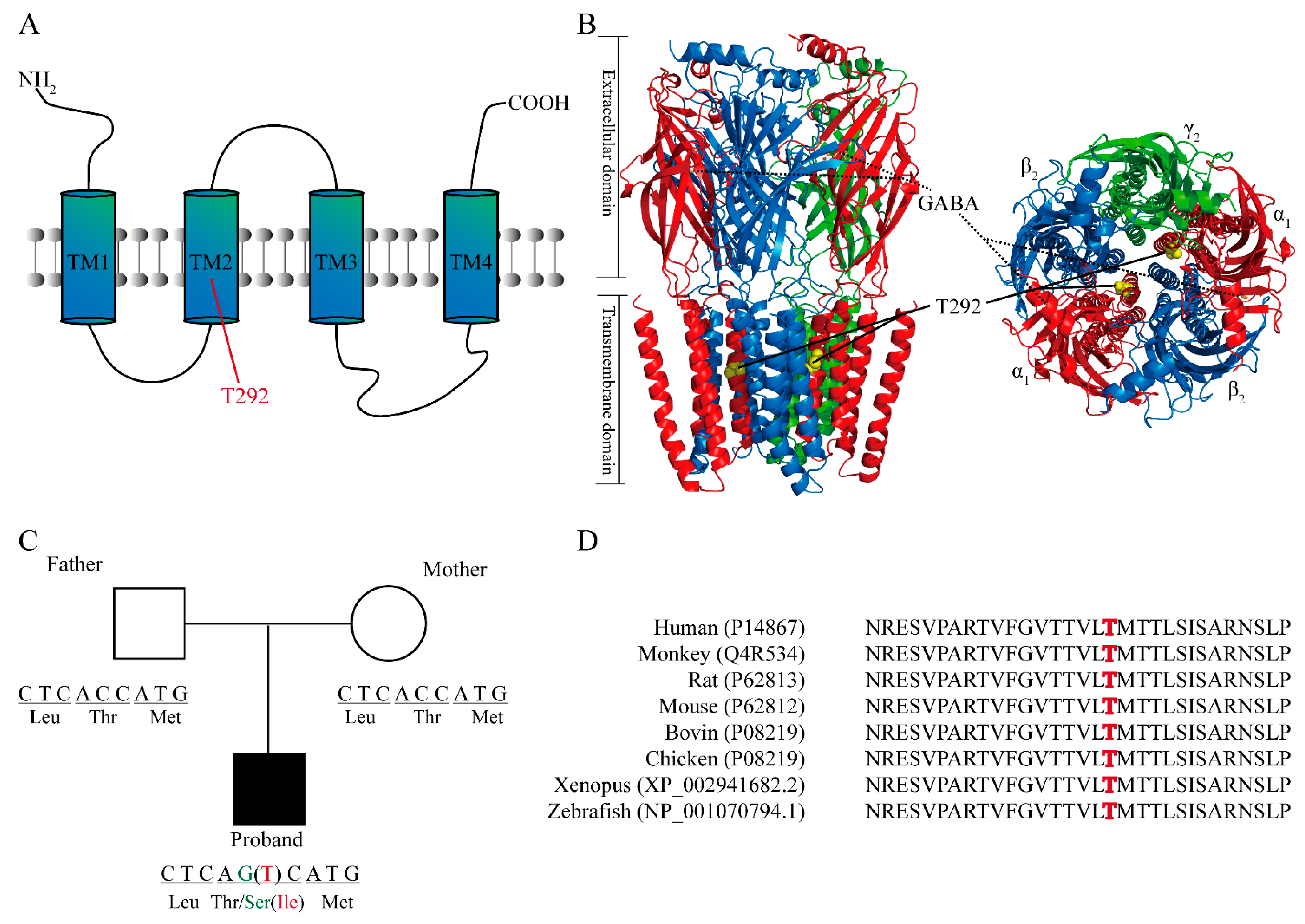 IJMS | Free Full-Text | Distinct Functional Alterations and