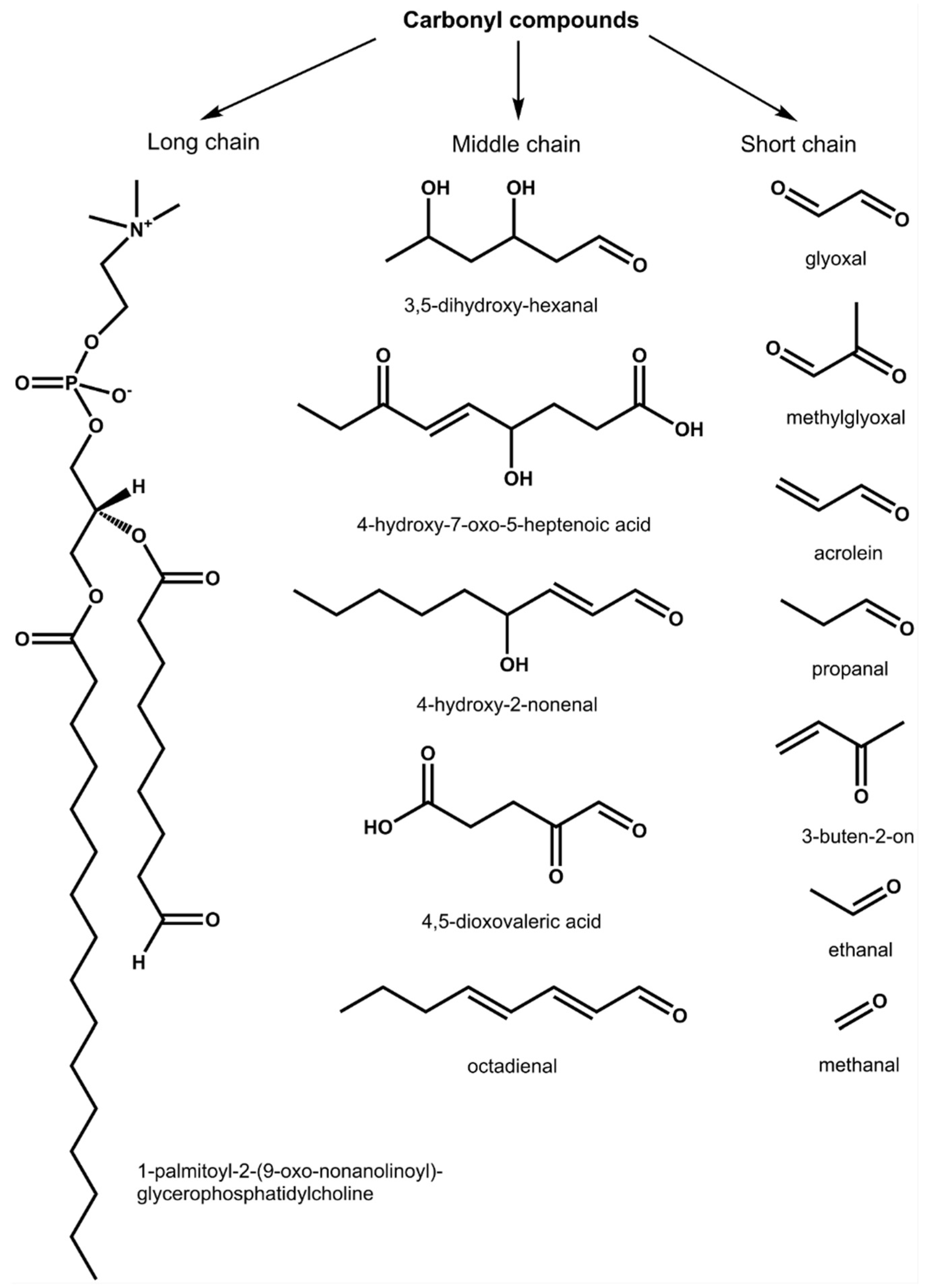 Ijms 23 02726 g001 Ijms 23 02726 g001