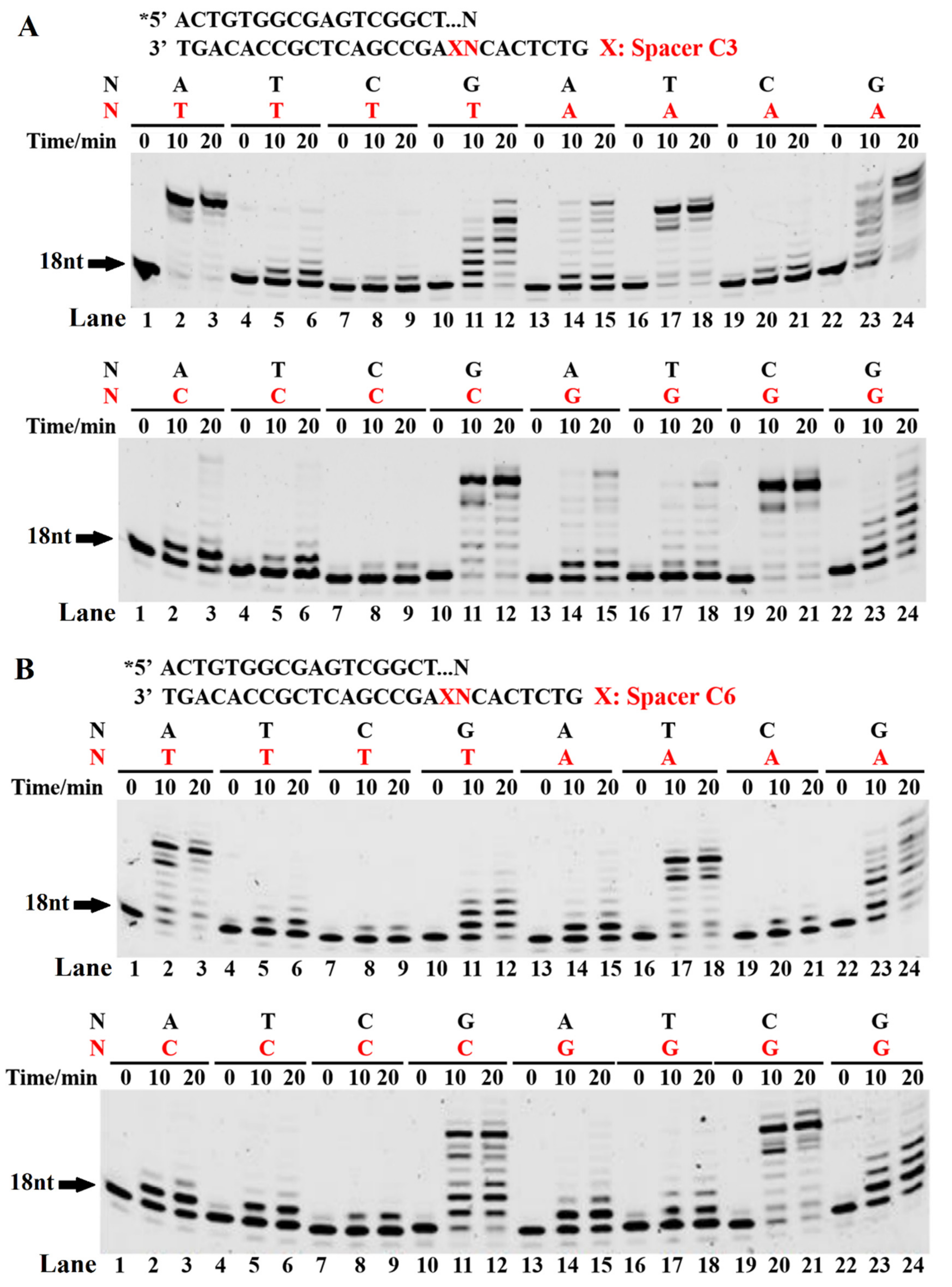 Ijms 23 02729 g001 Ijms 23 02729 g001