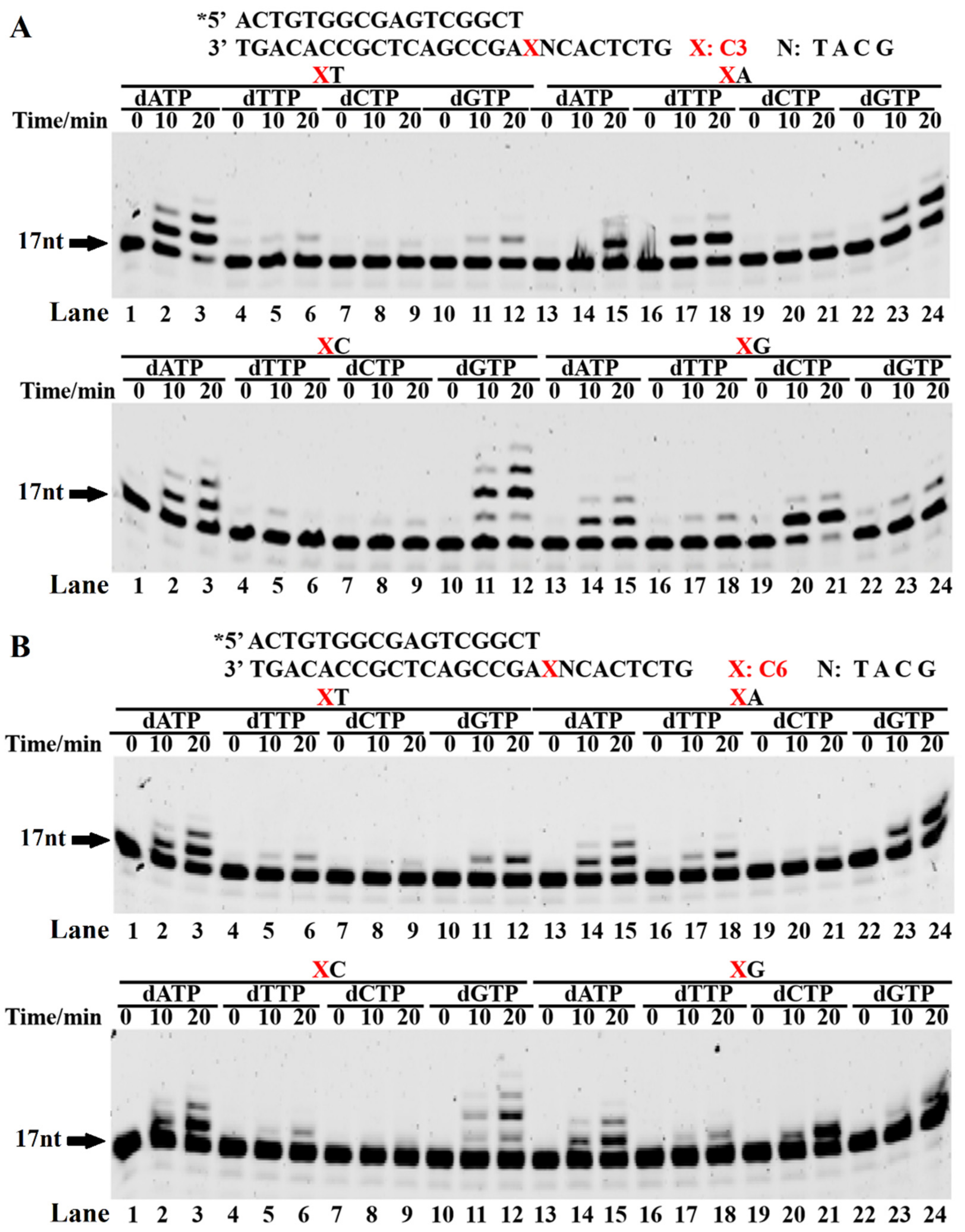 Ijms 23 02729 g002 Ijms 23 02729 g002