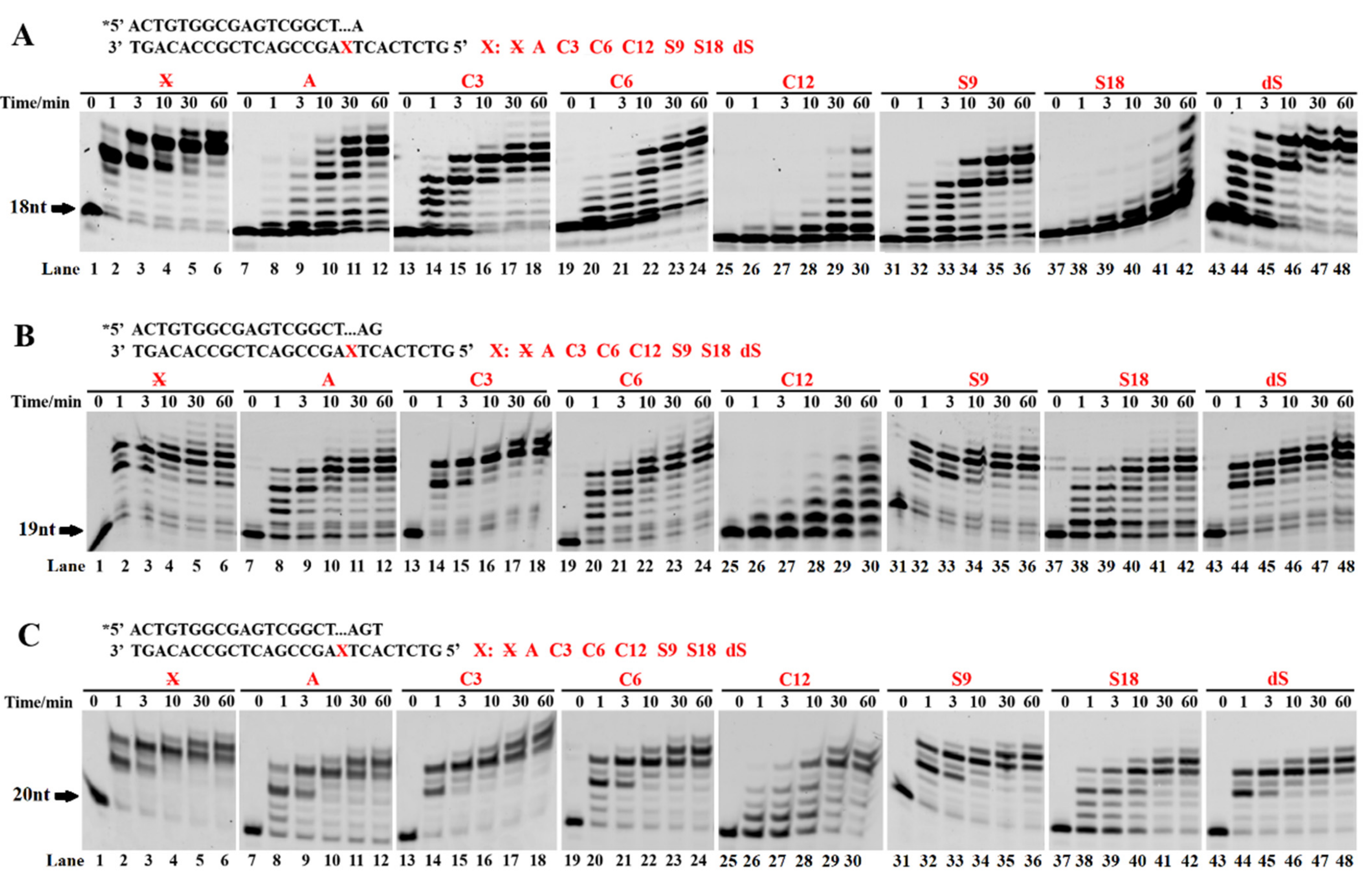 Ijms 23 02729 g003 Ijms 23 02729 g003