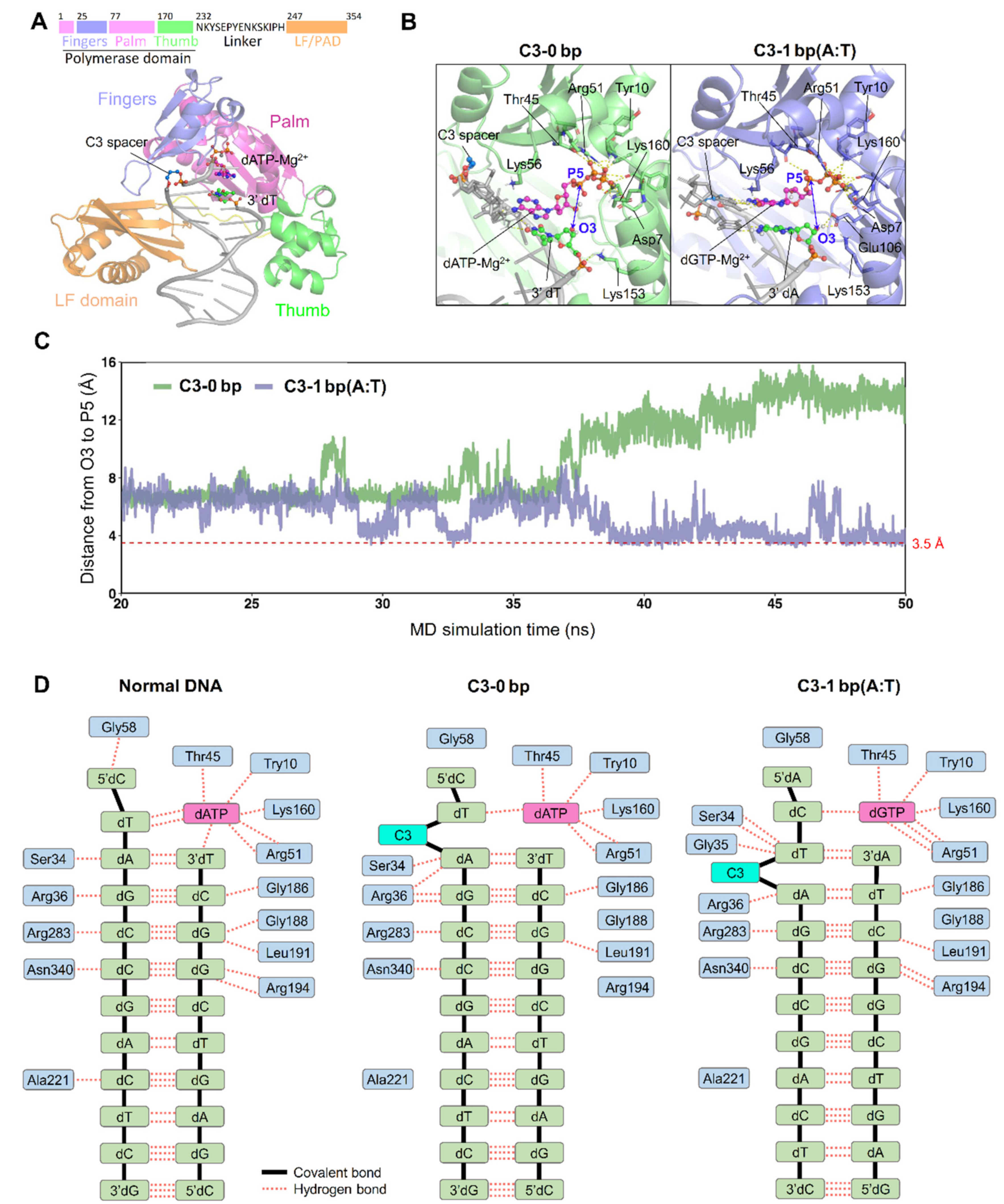 Ijms 23 02729 g004 Ijms 23 02729 g004