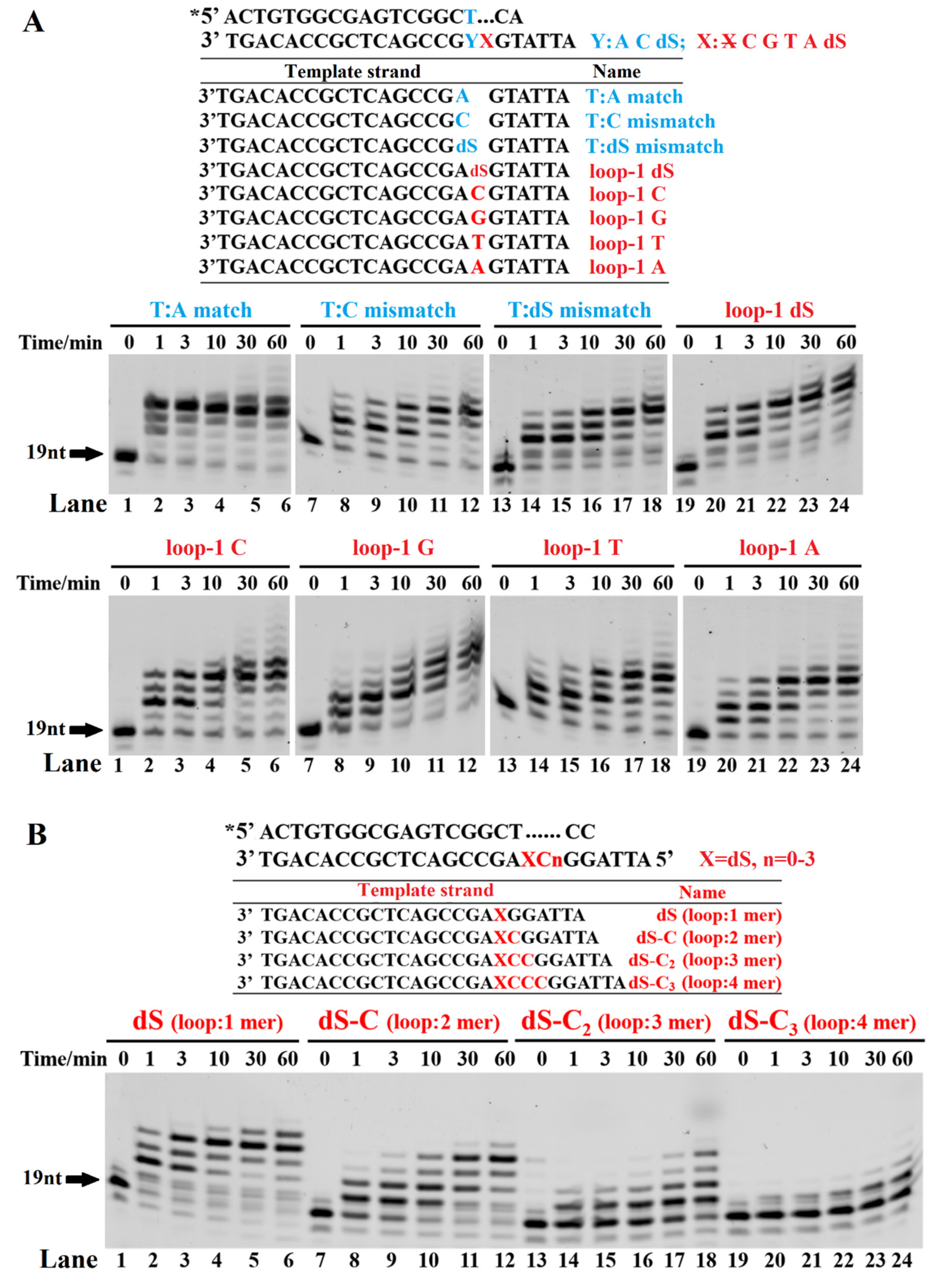 Ijms 23 02729 g005 Ijms 23 02729 g005