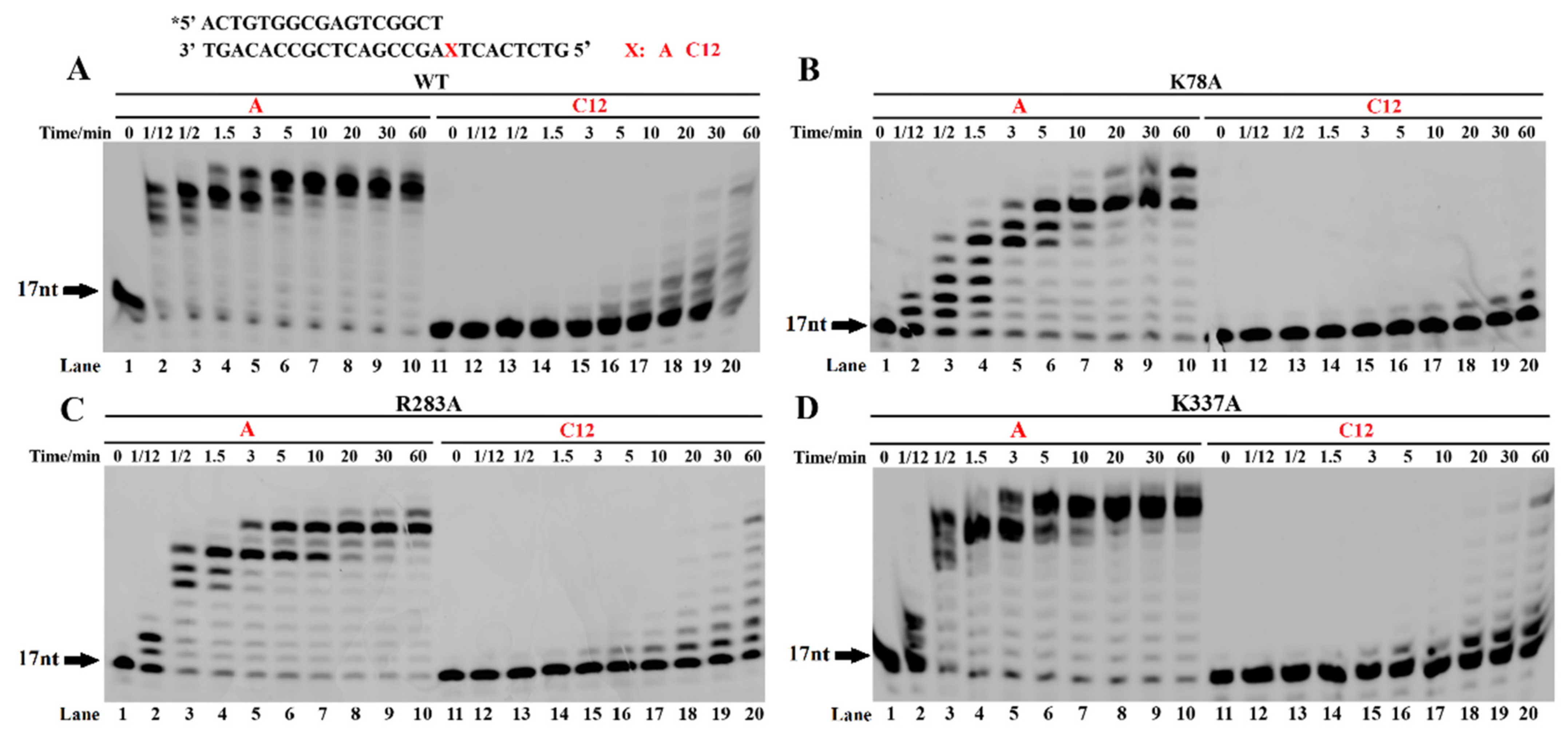 Ijms 23 02729 g007 Ijms 23 02729 g007