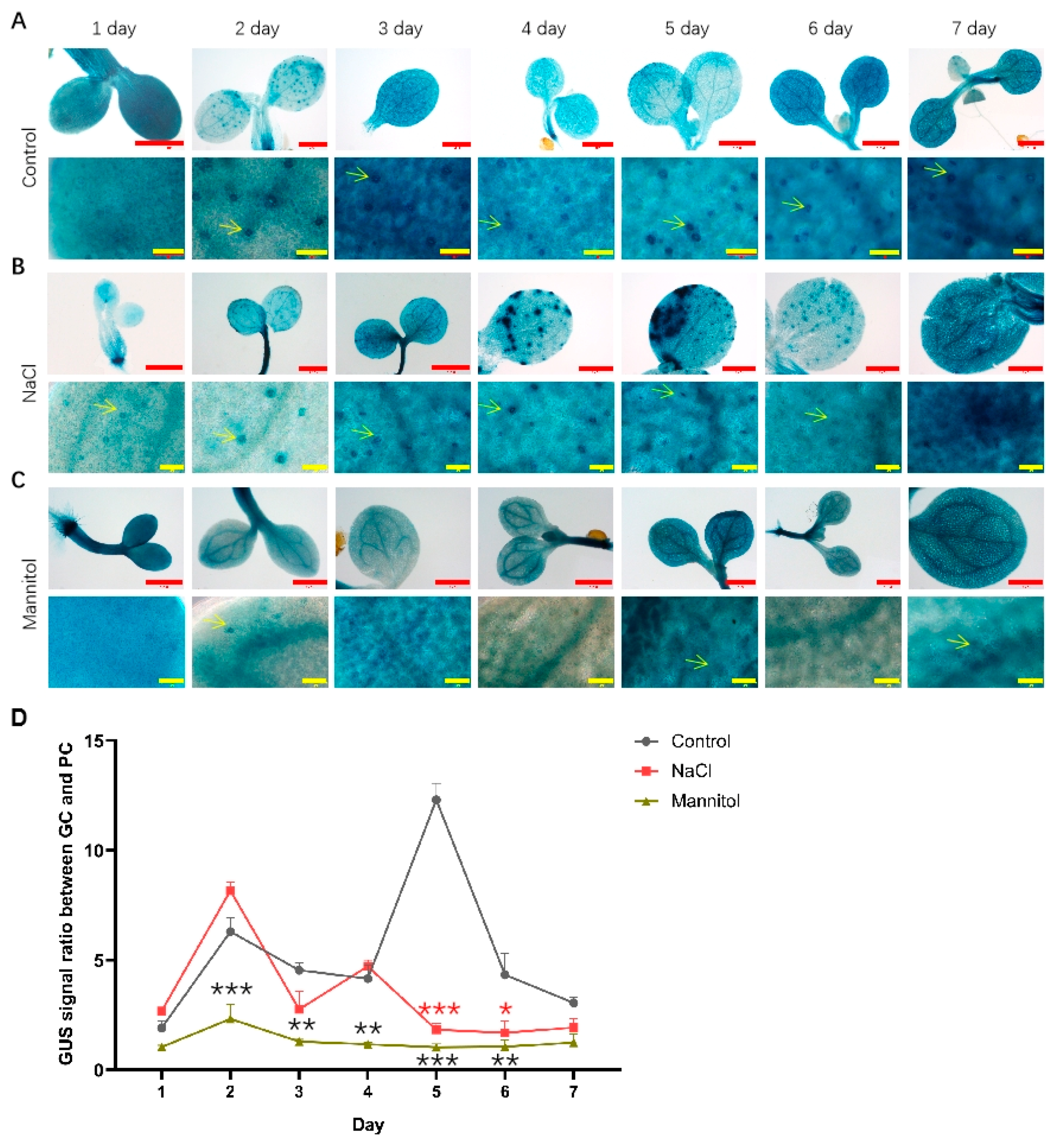Ijms 23 02759 g002 Ijms 23 02759 g002
