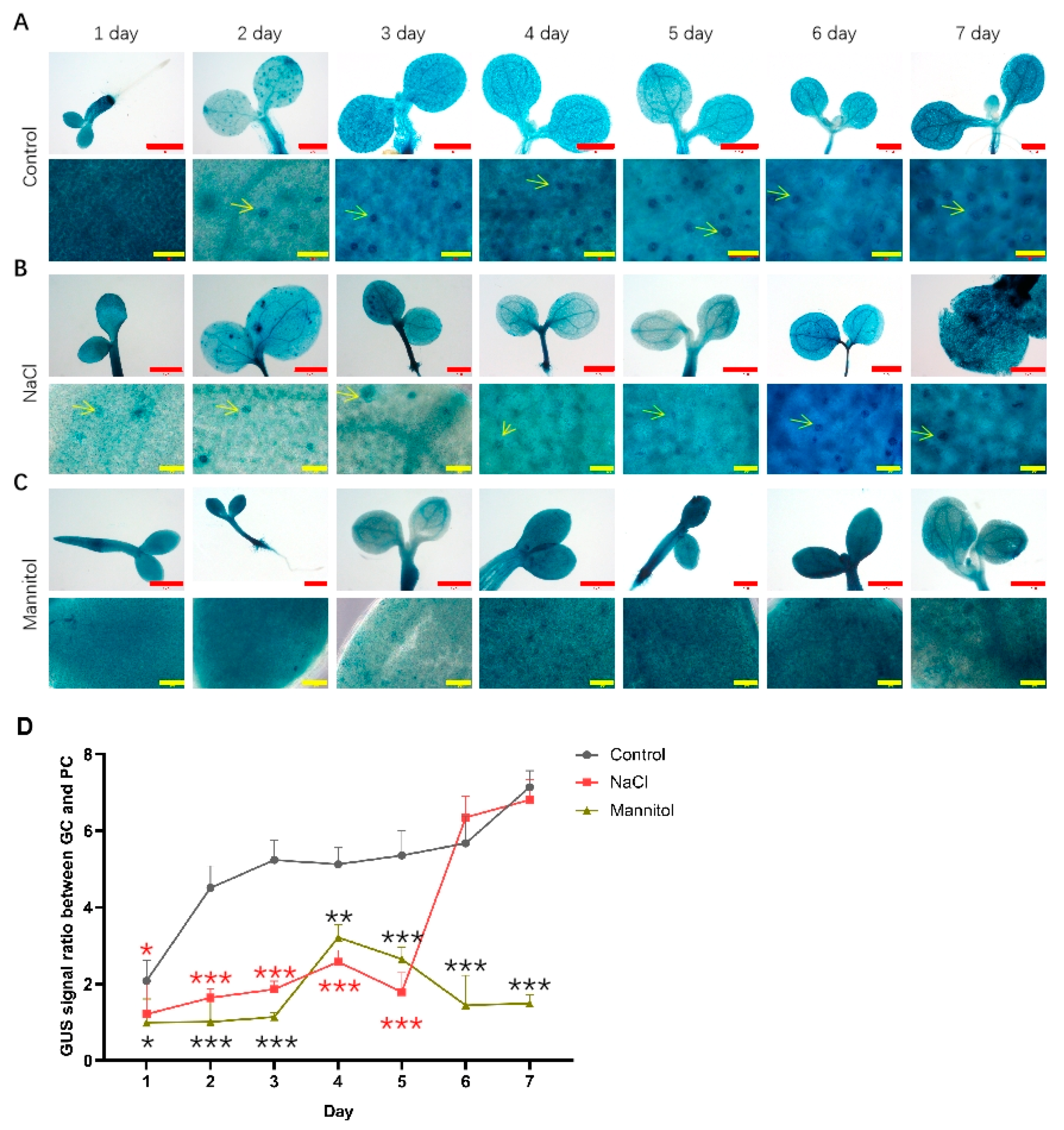 Ijms 23 02759 g003 Ijms 23 02759 g003