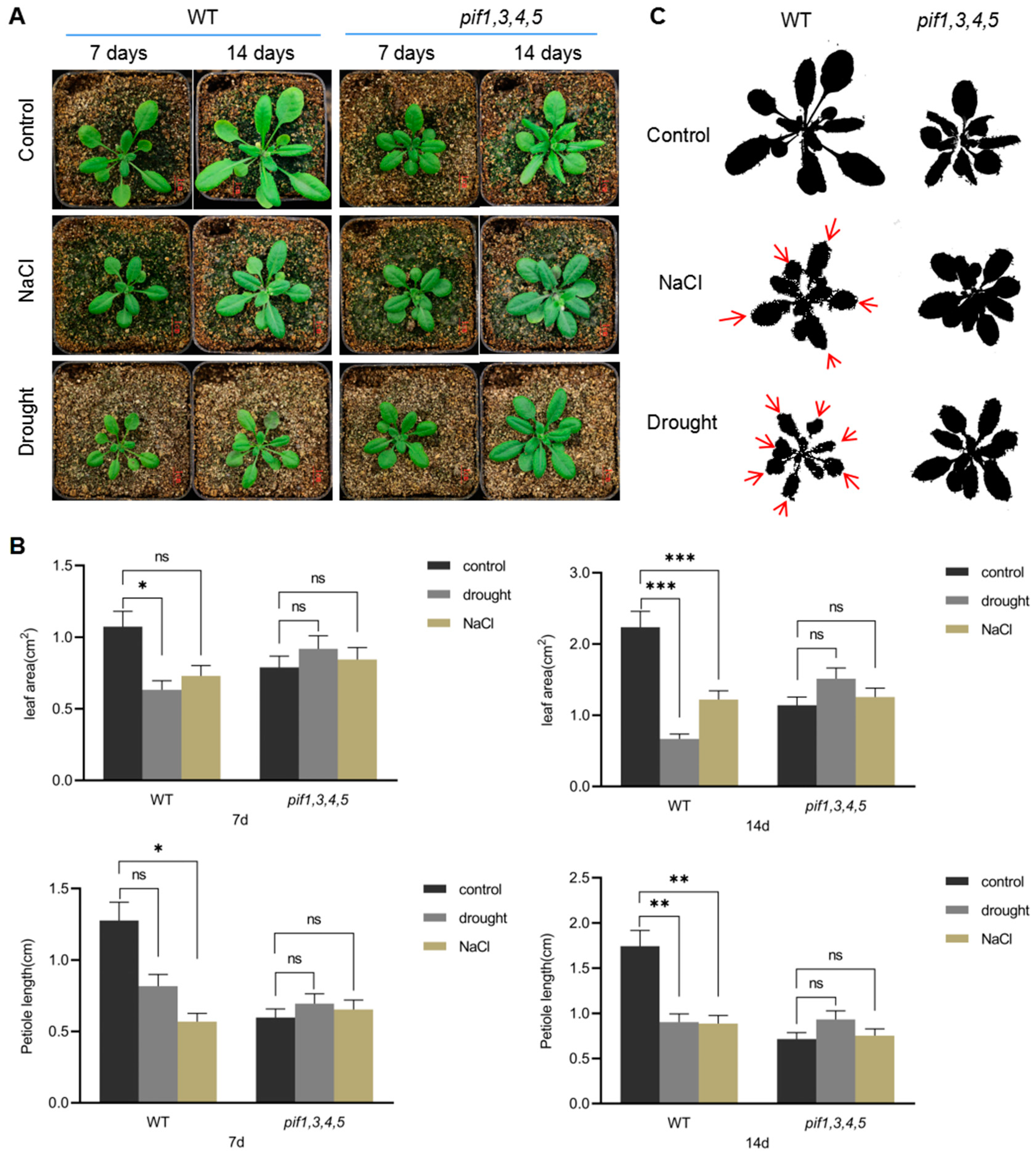 Ijms 23 02759 g004a Ijms 23 02759 g004a