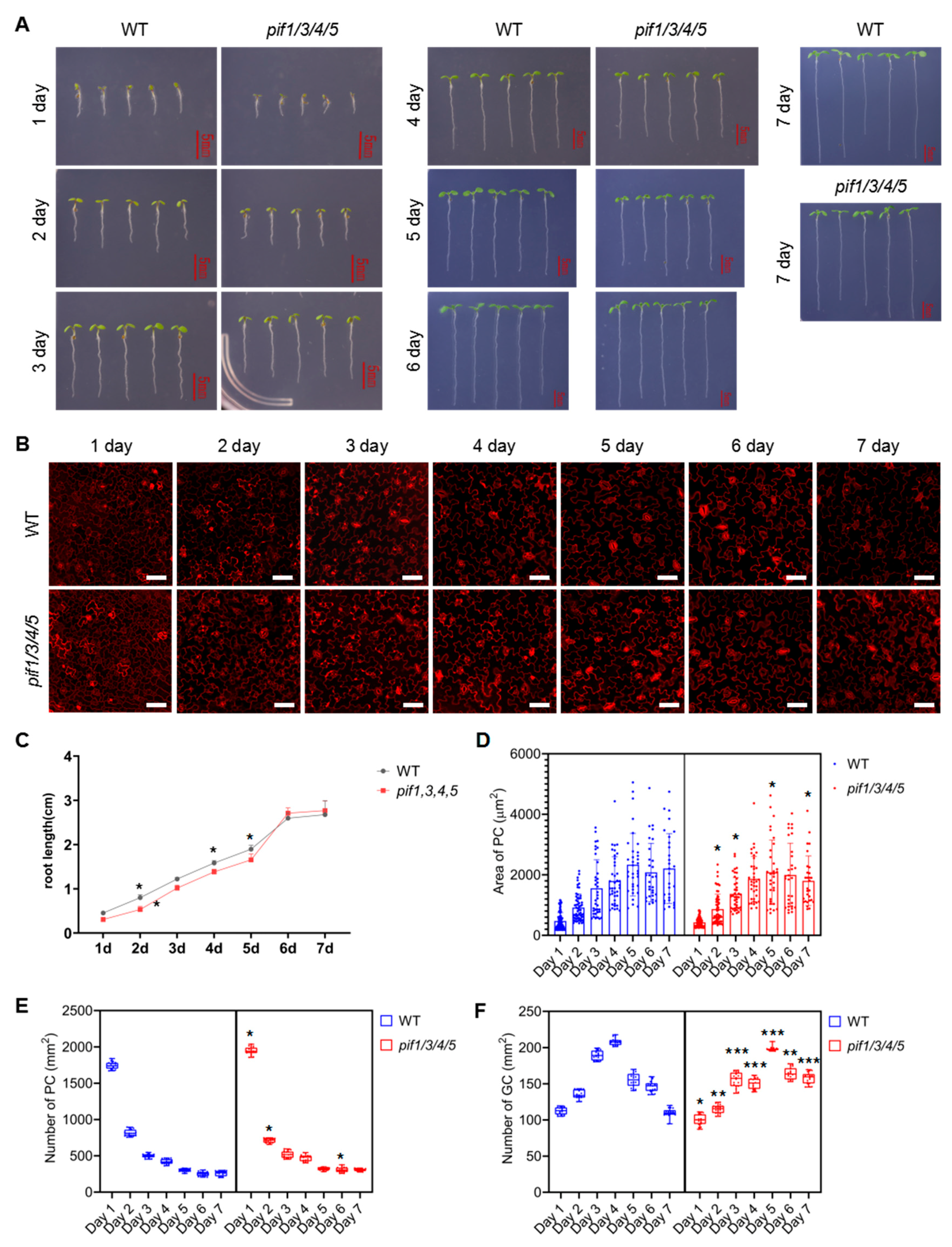 Ijms 23 02759 g005 Ijms 23 02759 g005