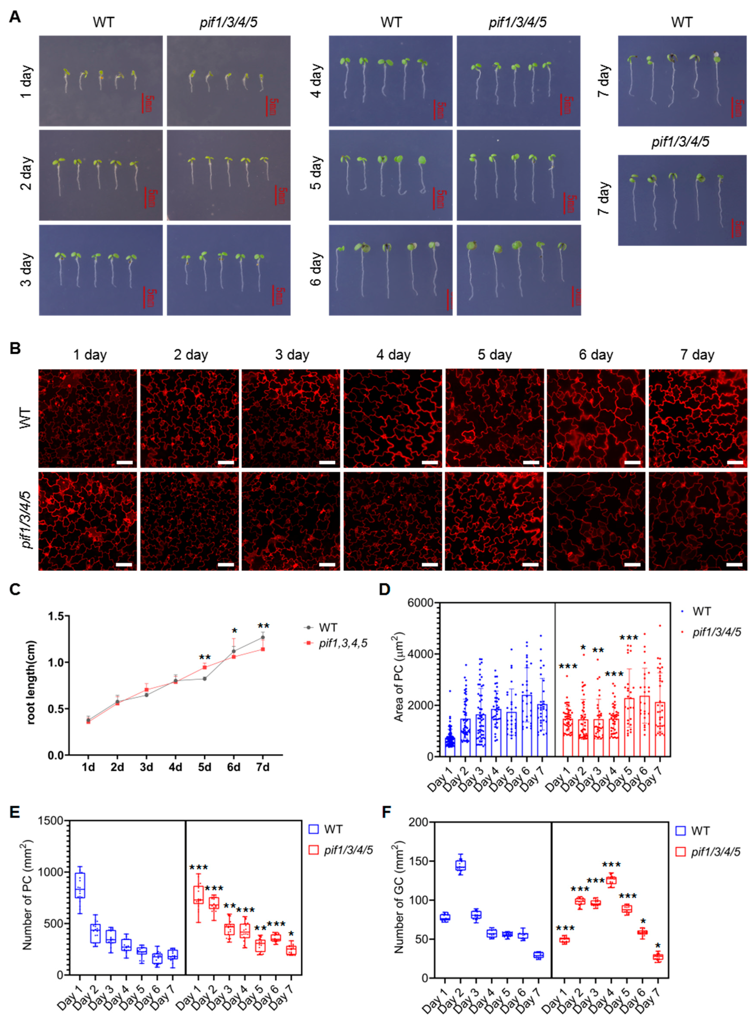 Ijms 23 02759 g006 Ijms 23 02759 g006