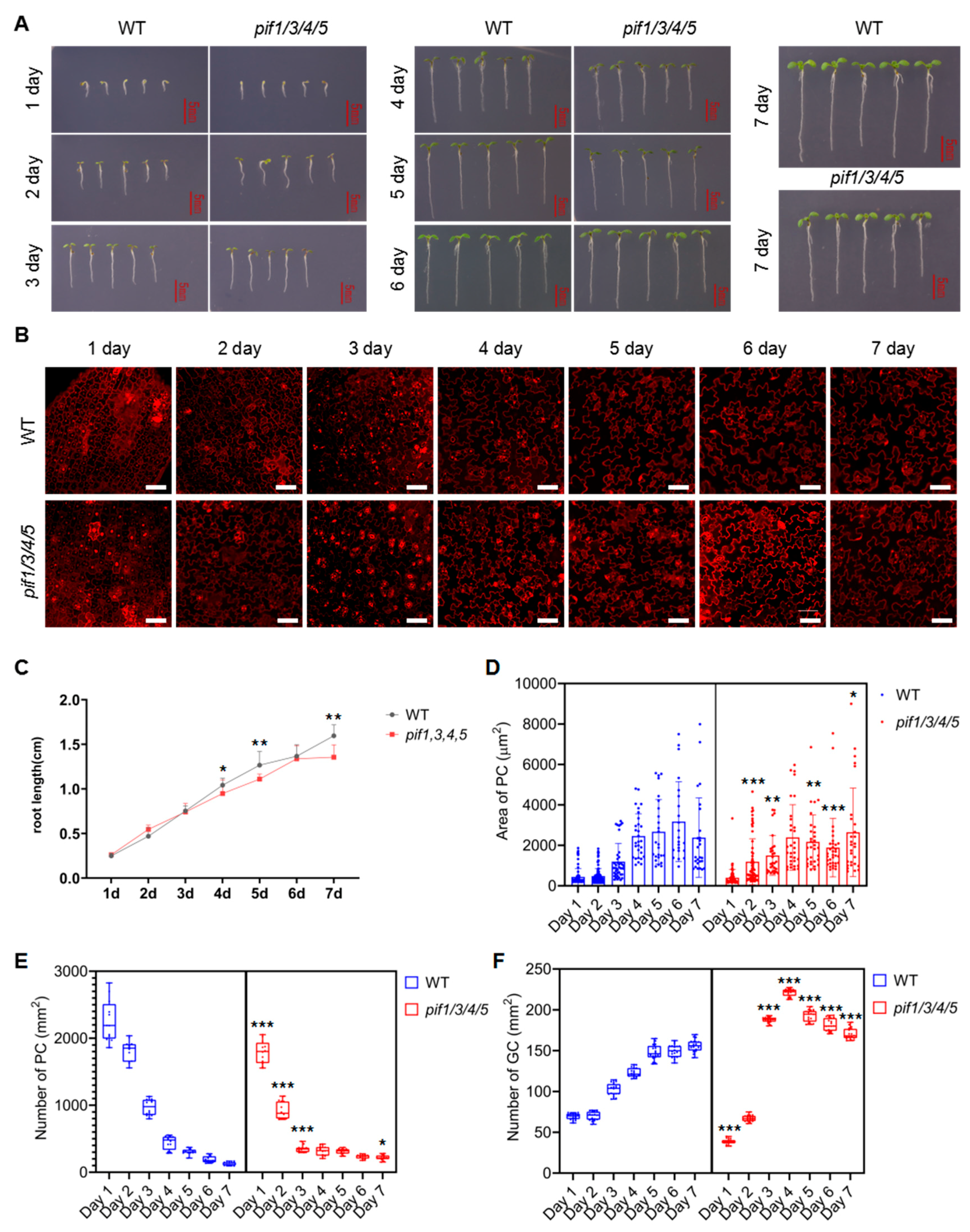 Ijms 23 02759 g007 Ijms 23 02759 g007