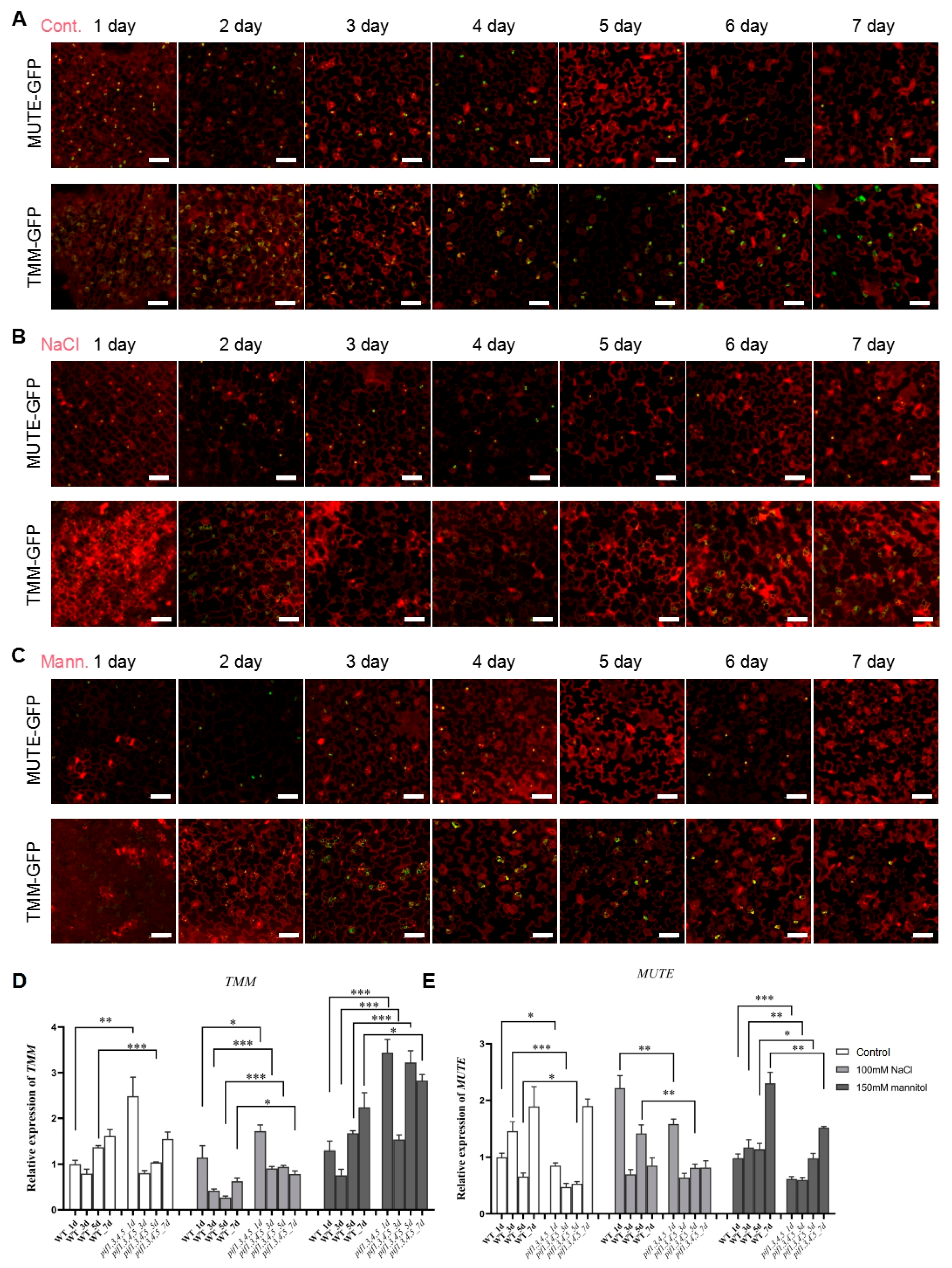 Ijms 23 02759 g008 Ijms 23 02759 g008