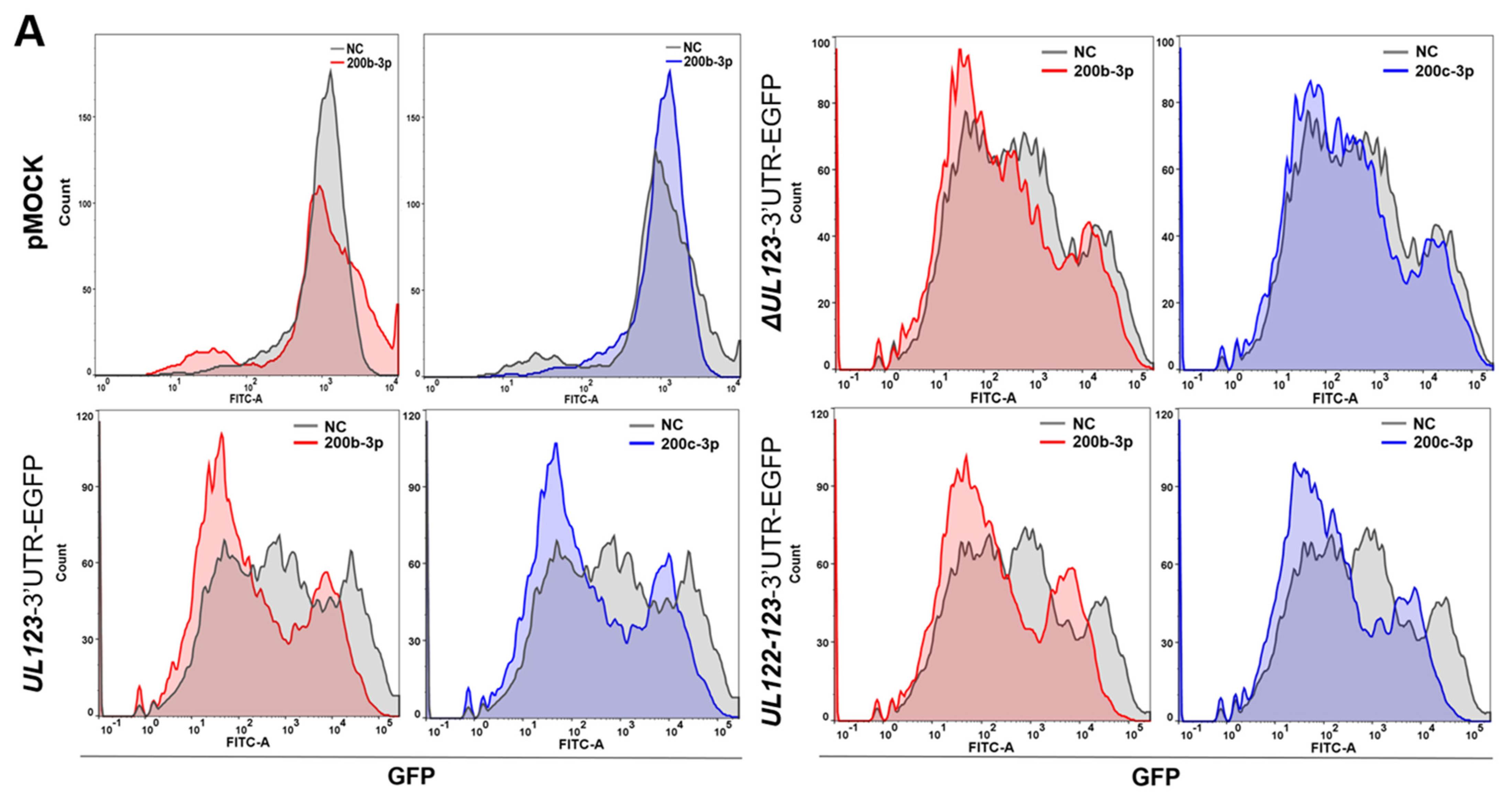 Ijms 23 02769 g002a Ijms 23 02769 g002a