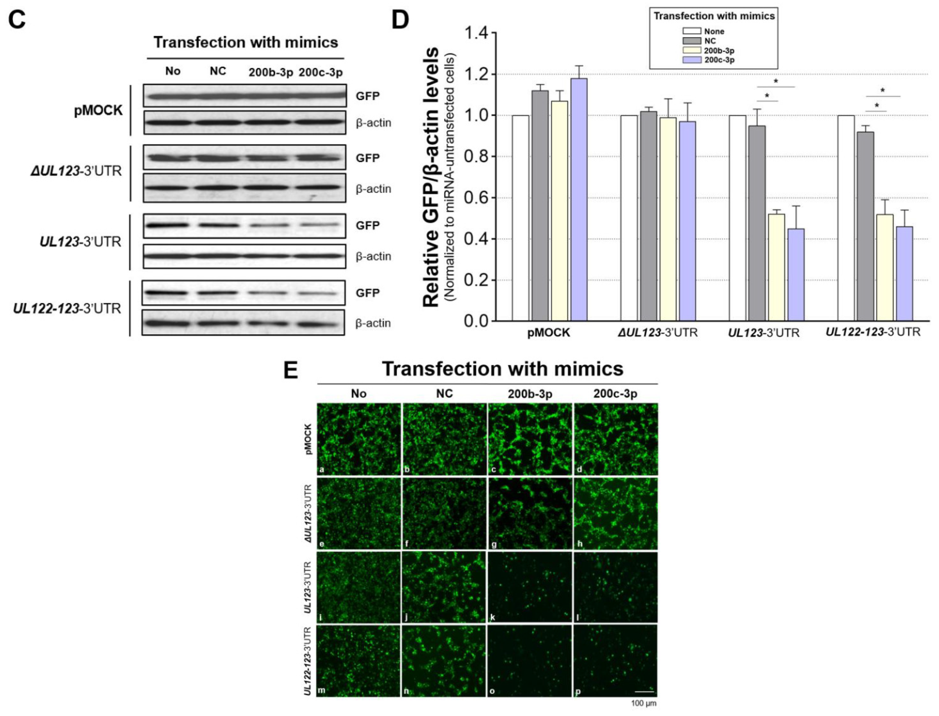 Ijms 23 02769 g002c Ijms 23 02769 g002c