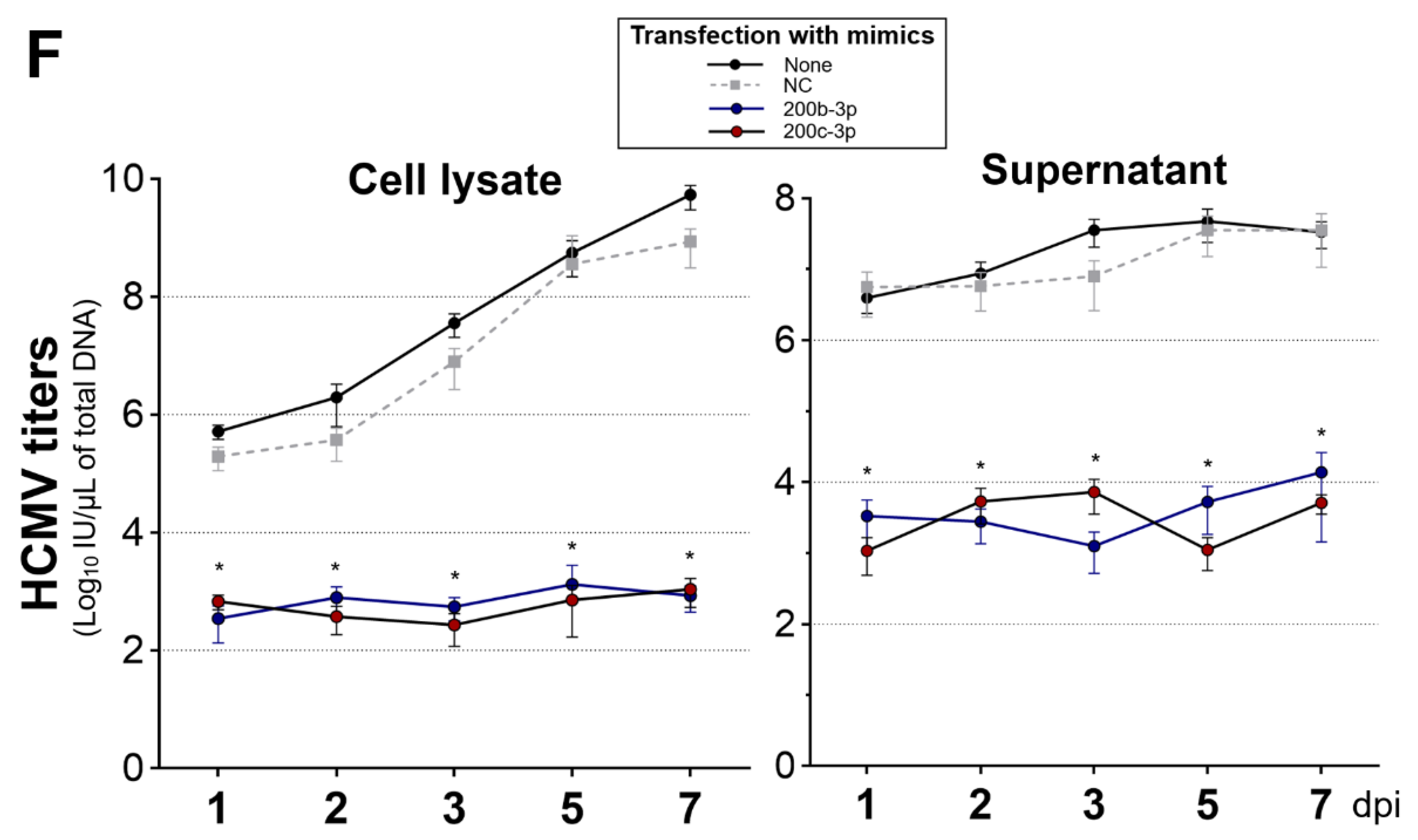 Ijms 23 02769 g003b Ijms 23 02769 g003b