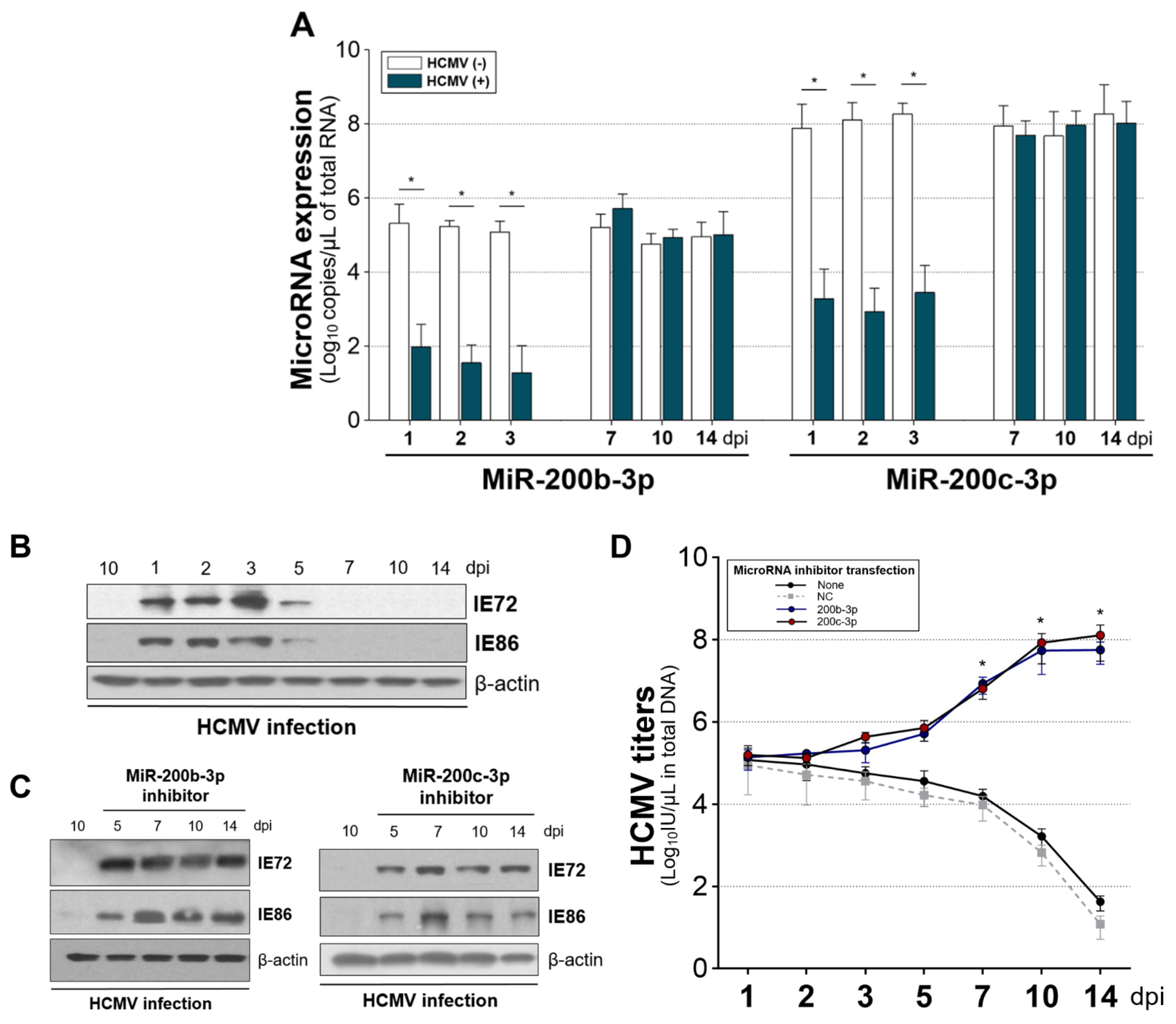 Ijms 23 02769 g005 Ijms 23 02769 g005
