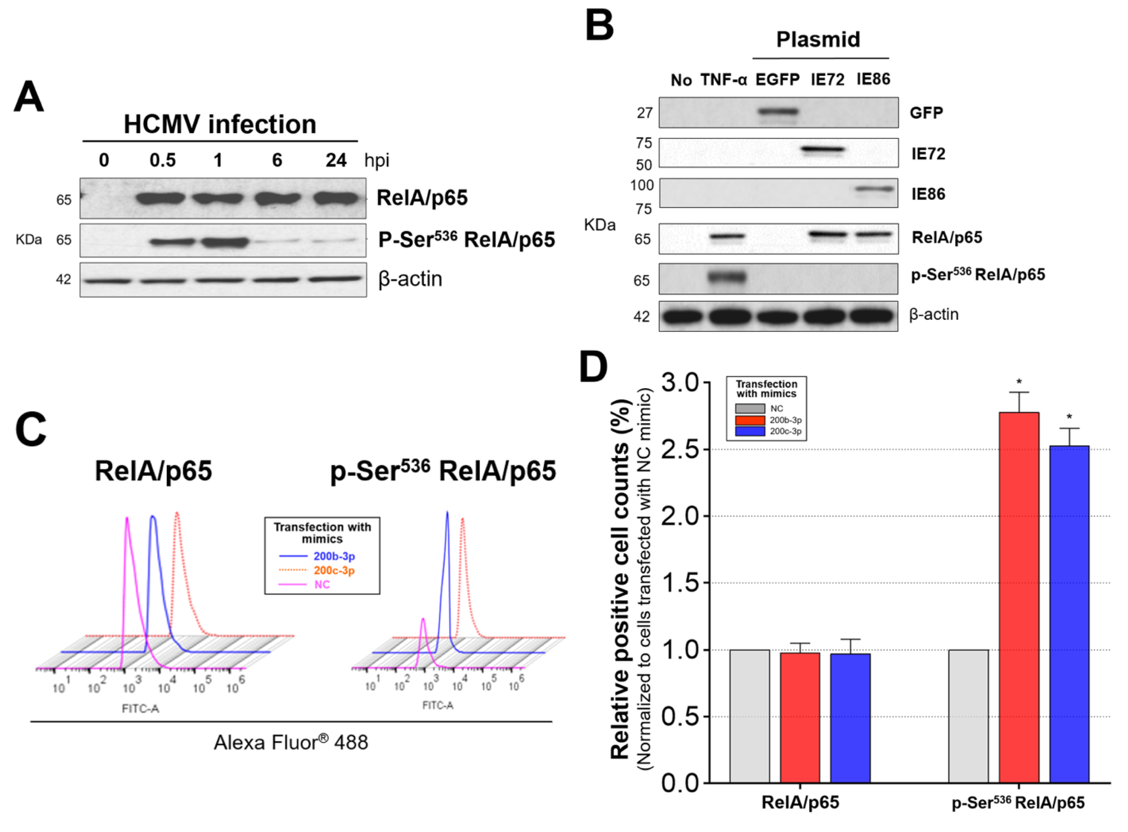 Ijms 23 02769 g006a Ijms 23 02769 g006a