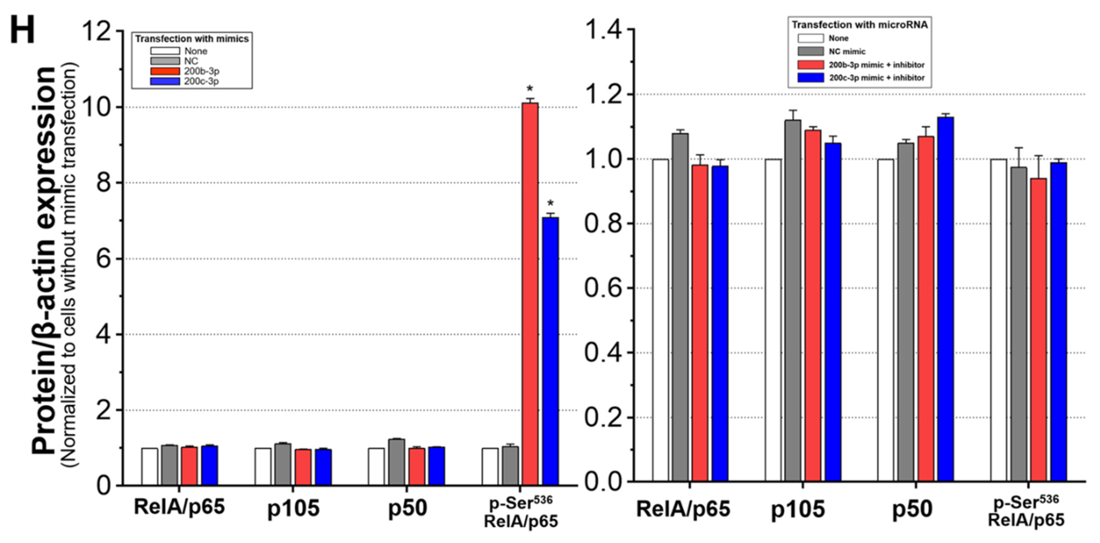 Ijms 23 02769 g006c Ijms 23 02769 g006c