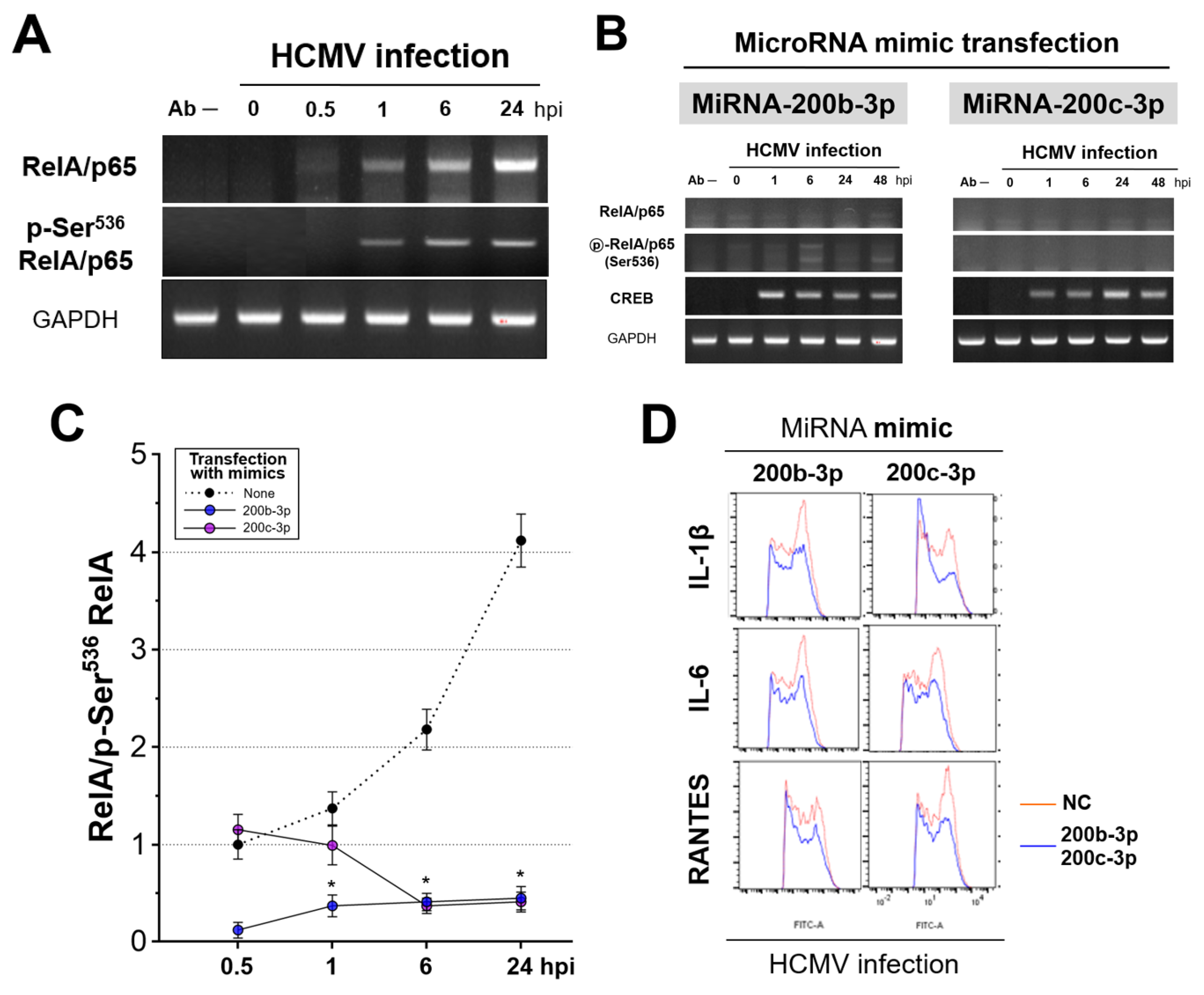 Ijms 23 02769 g007 Ijms 23 02769 g007
