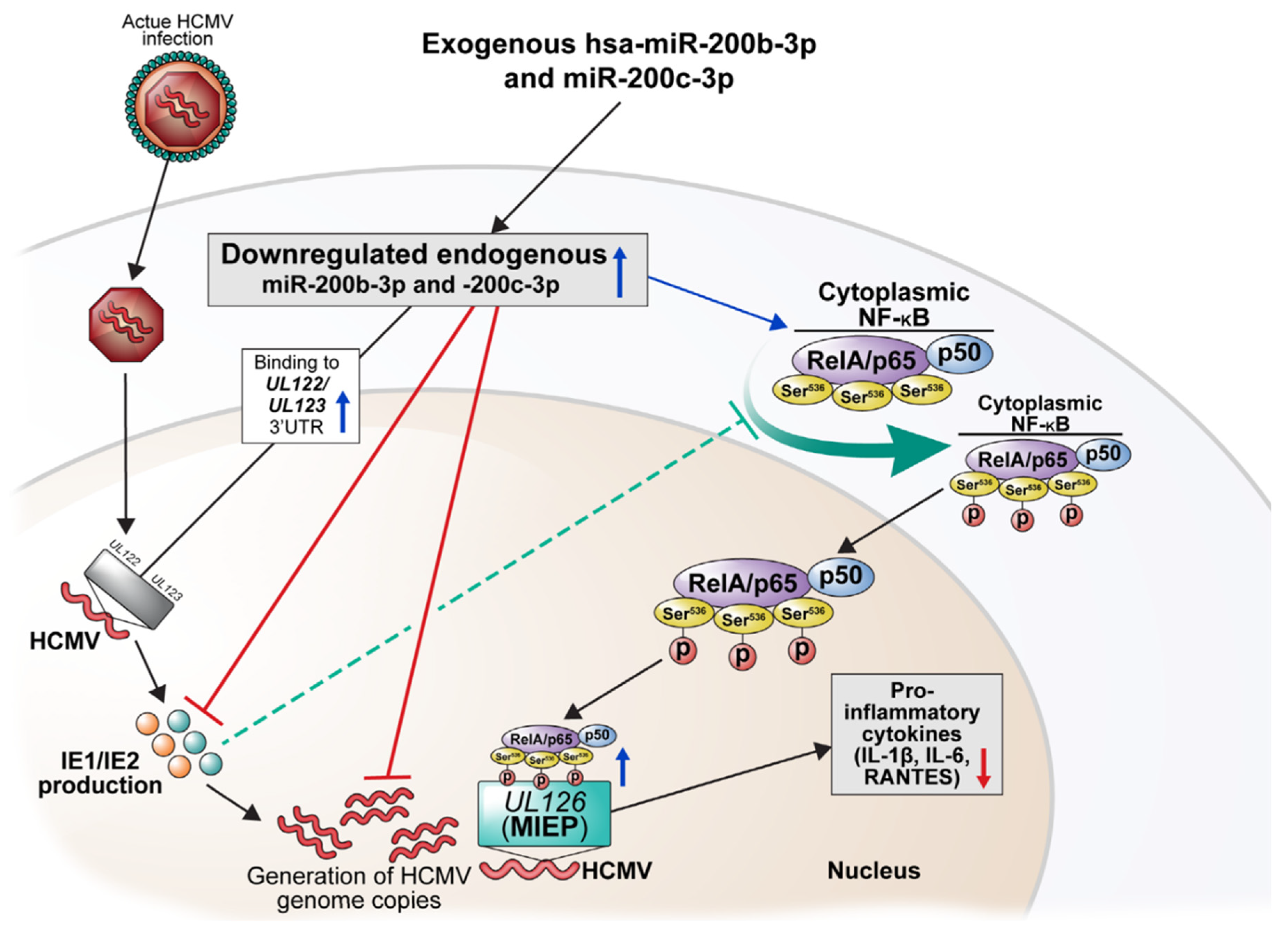 Ijms 23 02769 g008 Ijms 23 02769 g008