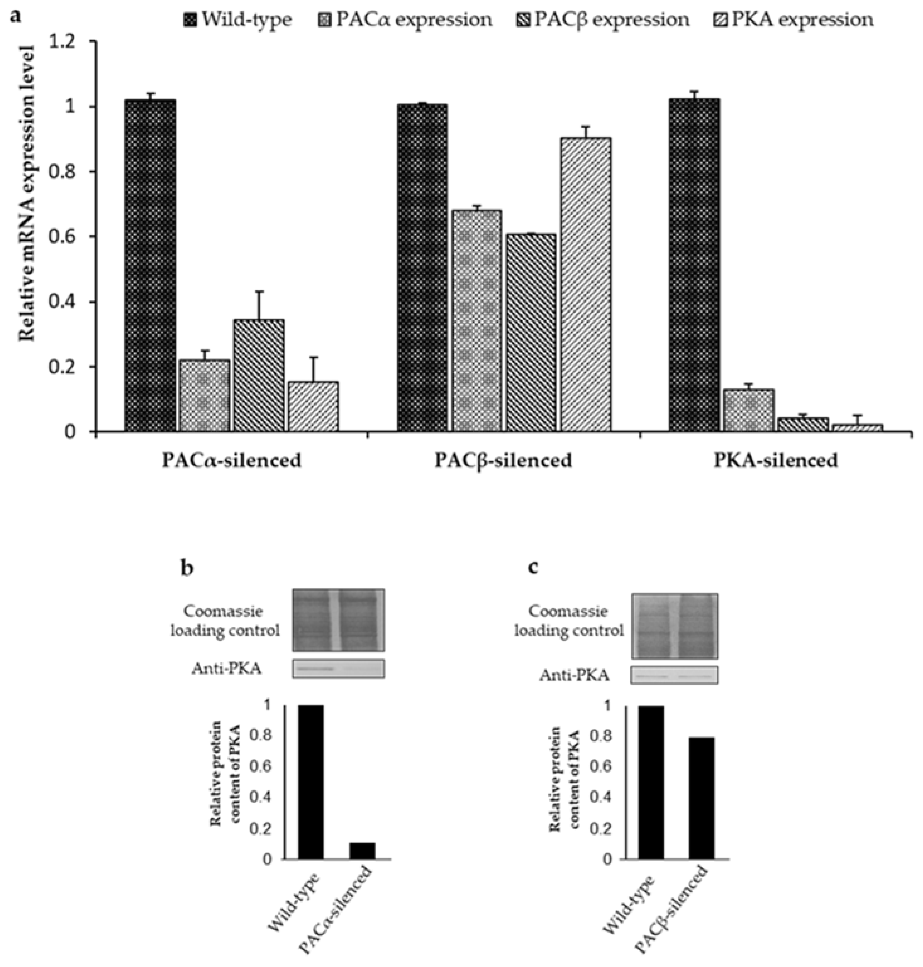 Ijms 23 02776 g002 Ijms 23 02776 g002