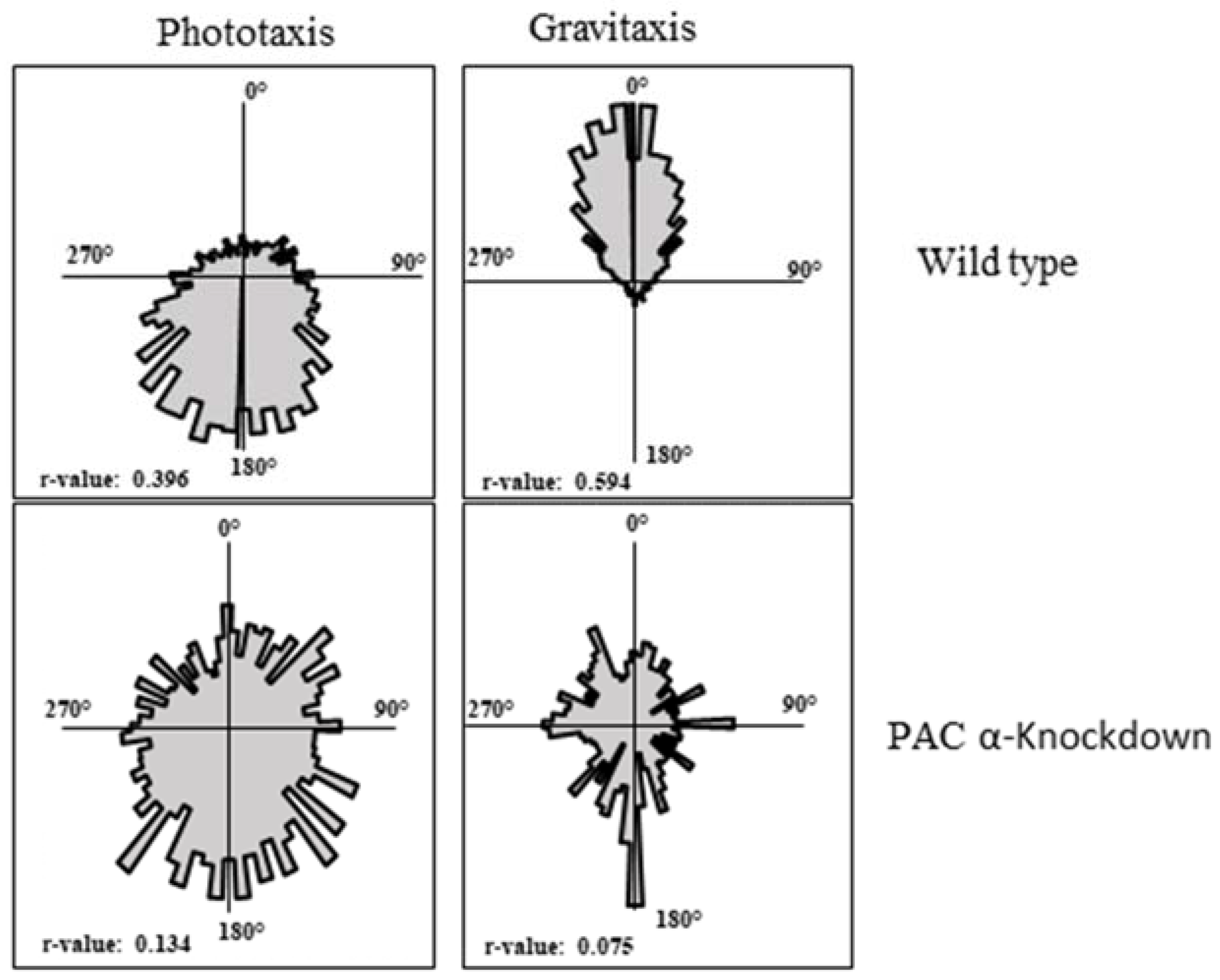 Ijms 23 02776 g004a Ijms 23 02776 g004a
