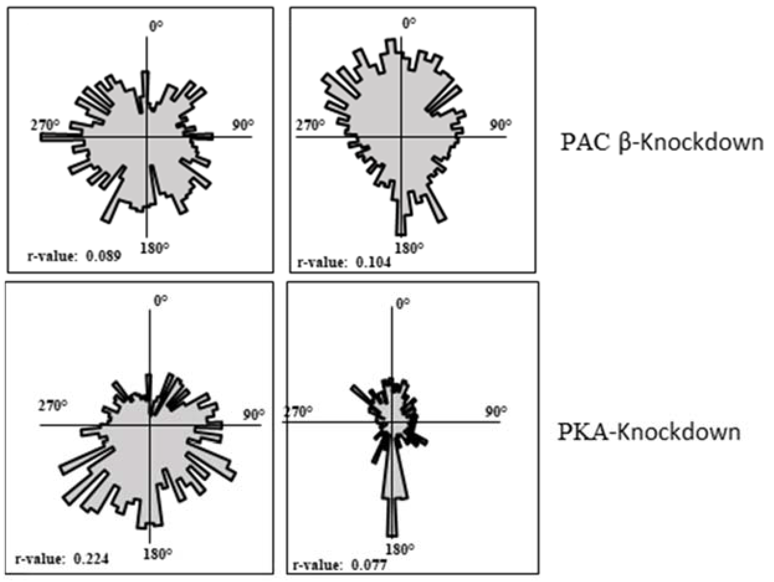 Ijms 23 02776 g004b Ijms 23 02776 g004b