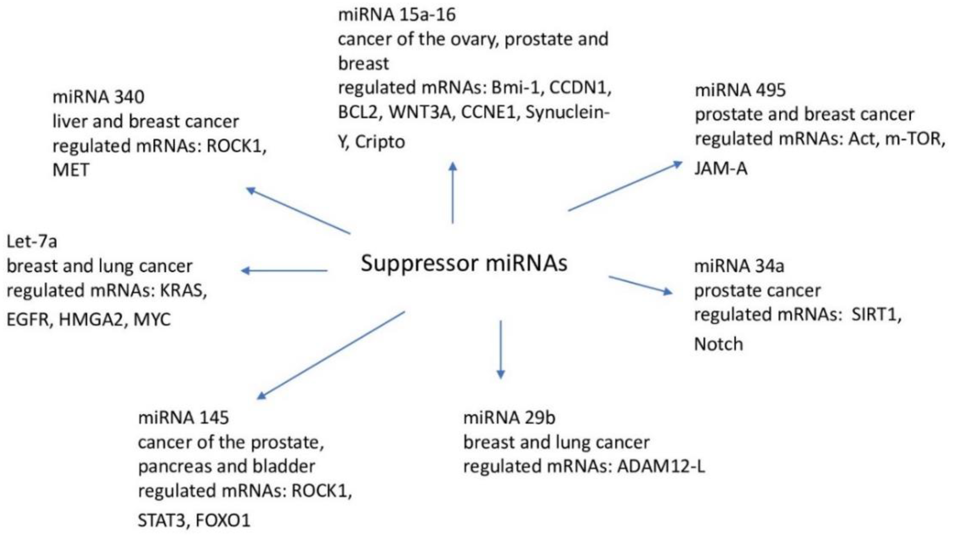 Full article: CircPTCH1 Promotes Migration in Lung Cancer by Regulating  MYCN Expression Through miR-34c-5p