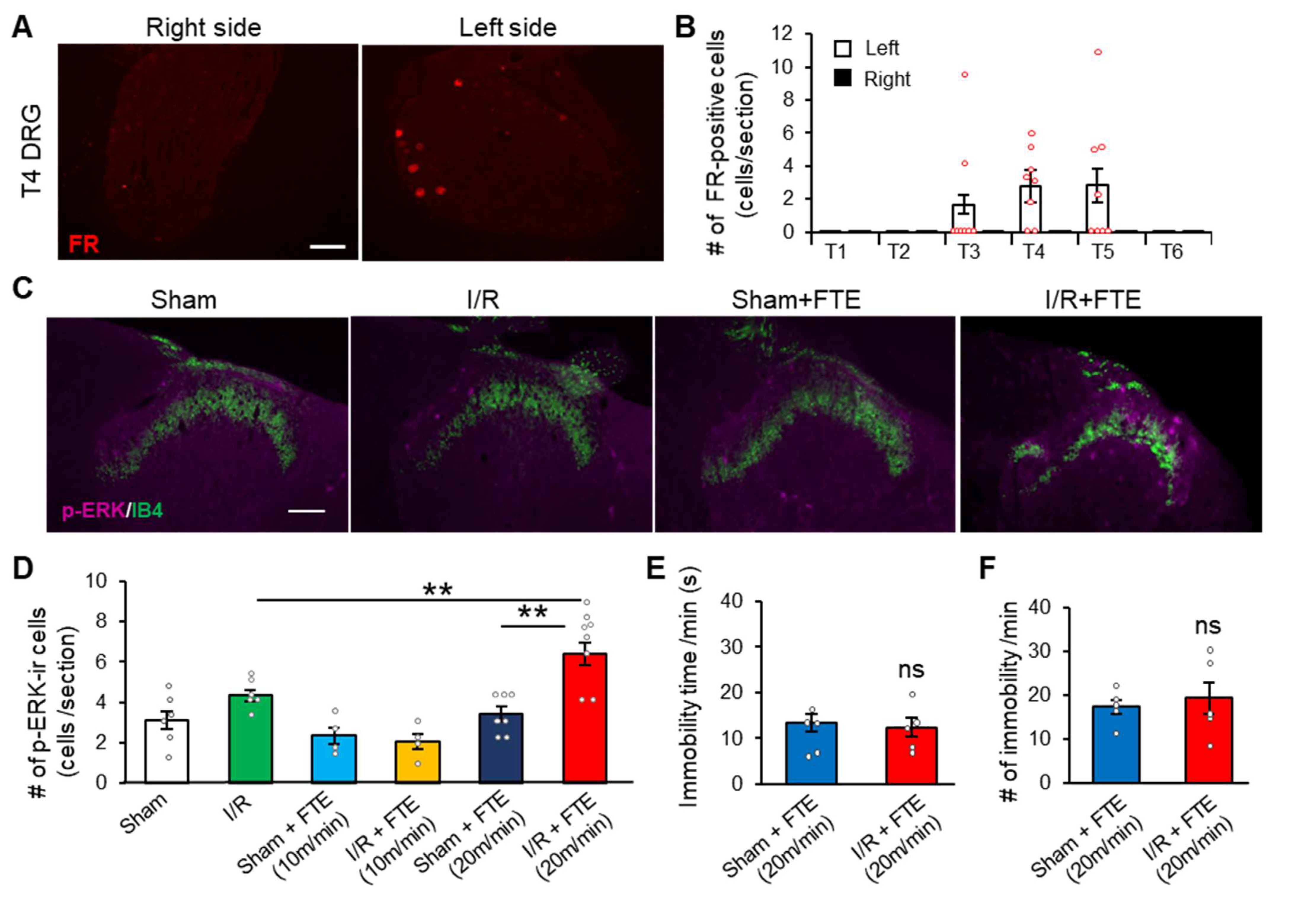 Ijms 23 02820 g002 Ijms 23 02820 g002