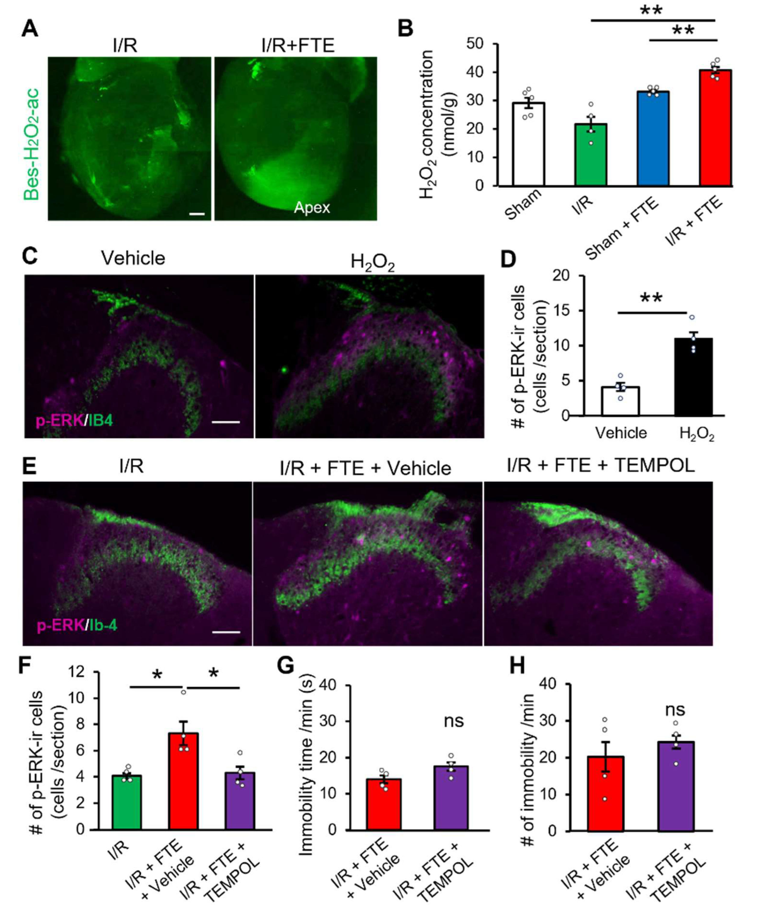 Ijms 23 02820 g003 Ijms 23 02820 g003