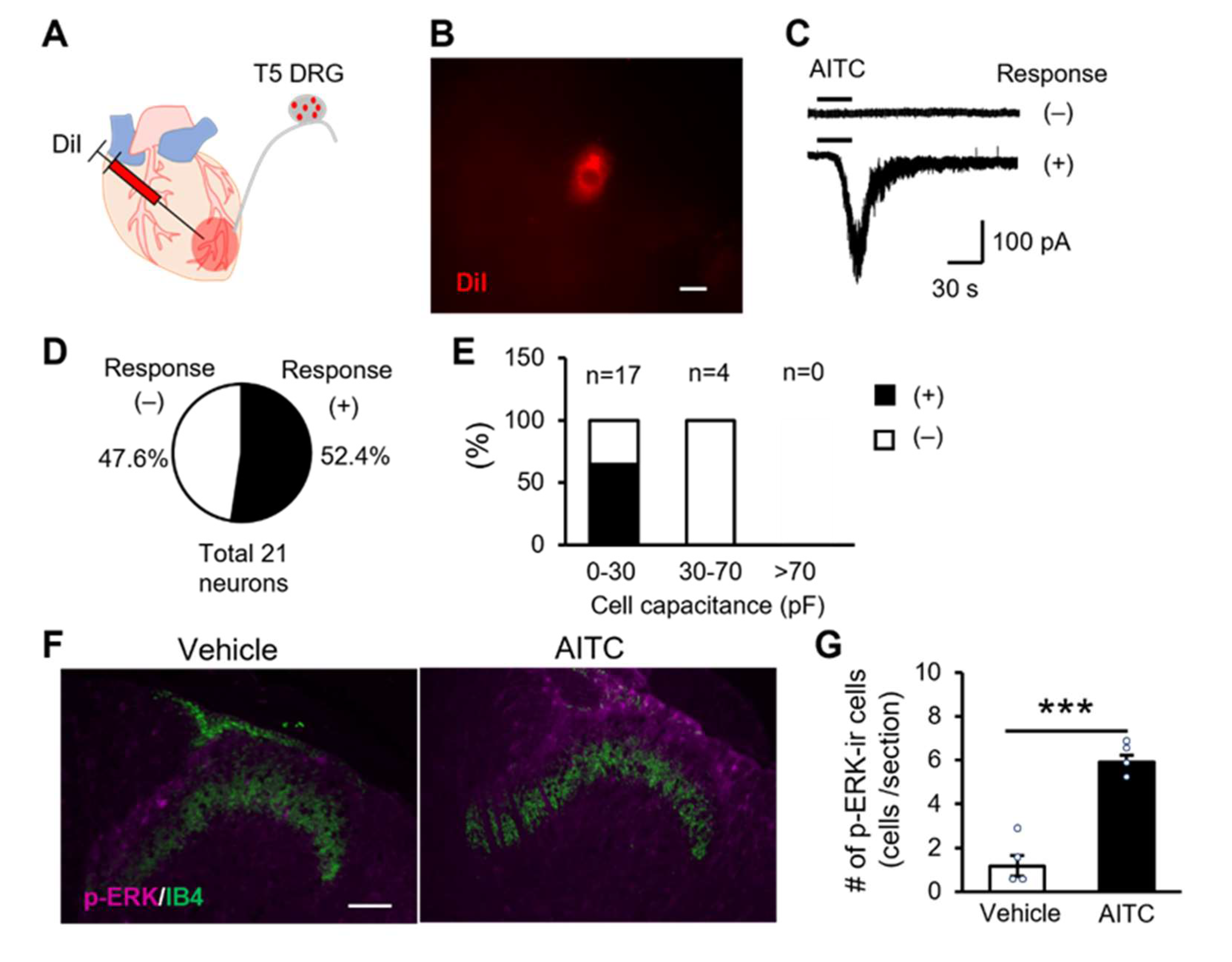Ijms 23 02820 g004 Ijms 23 02820 g004