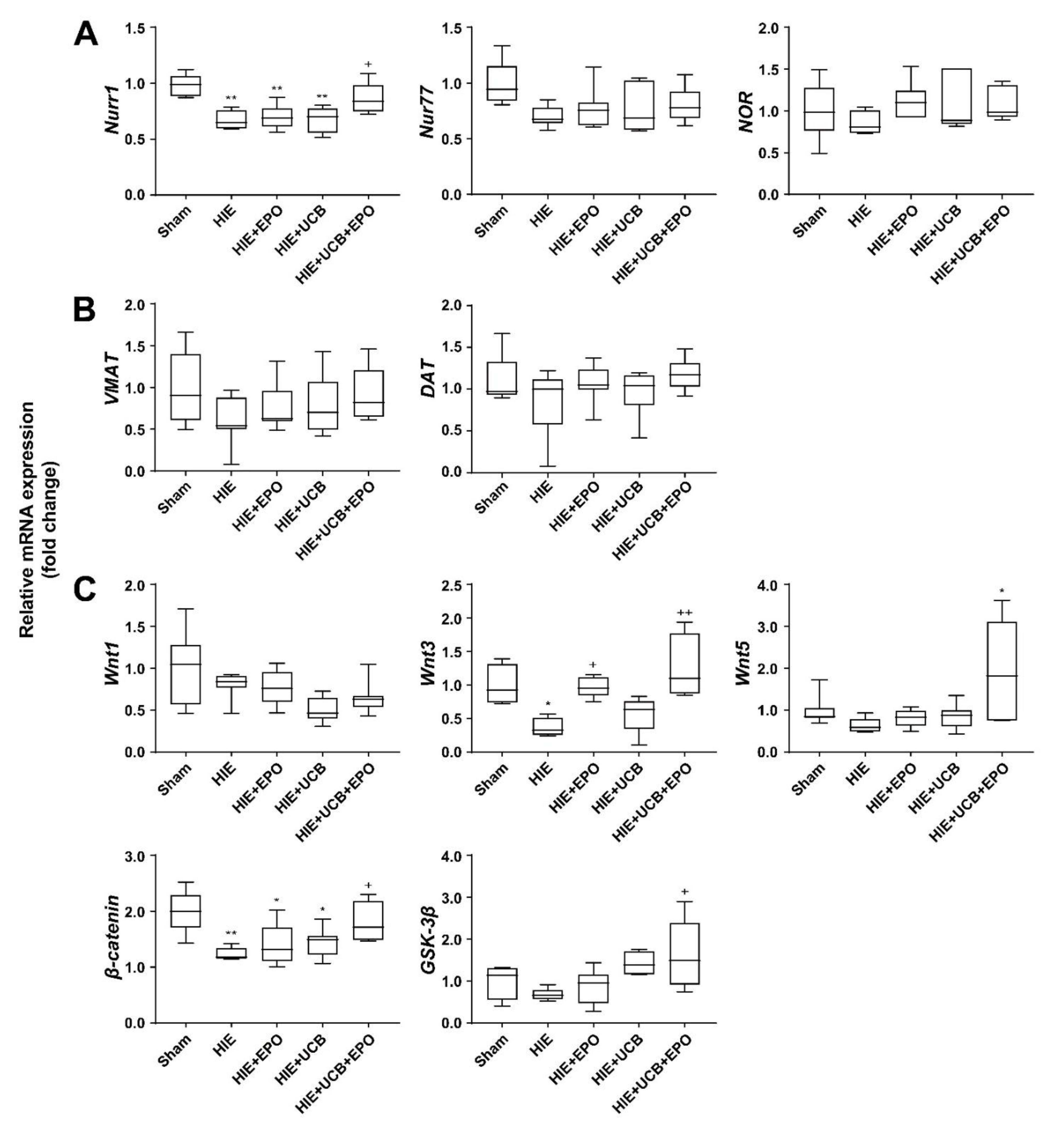 Ijms 23 02900 g004 Ijms 23 02900 g004