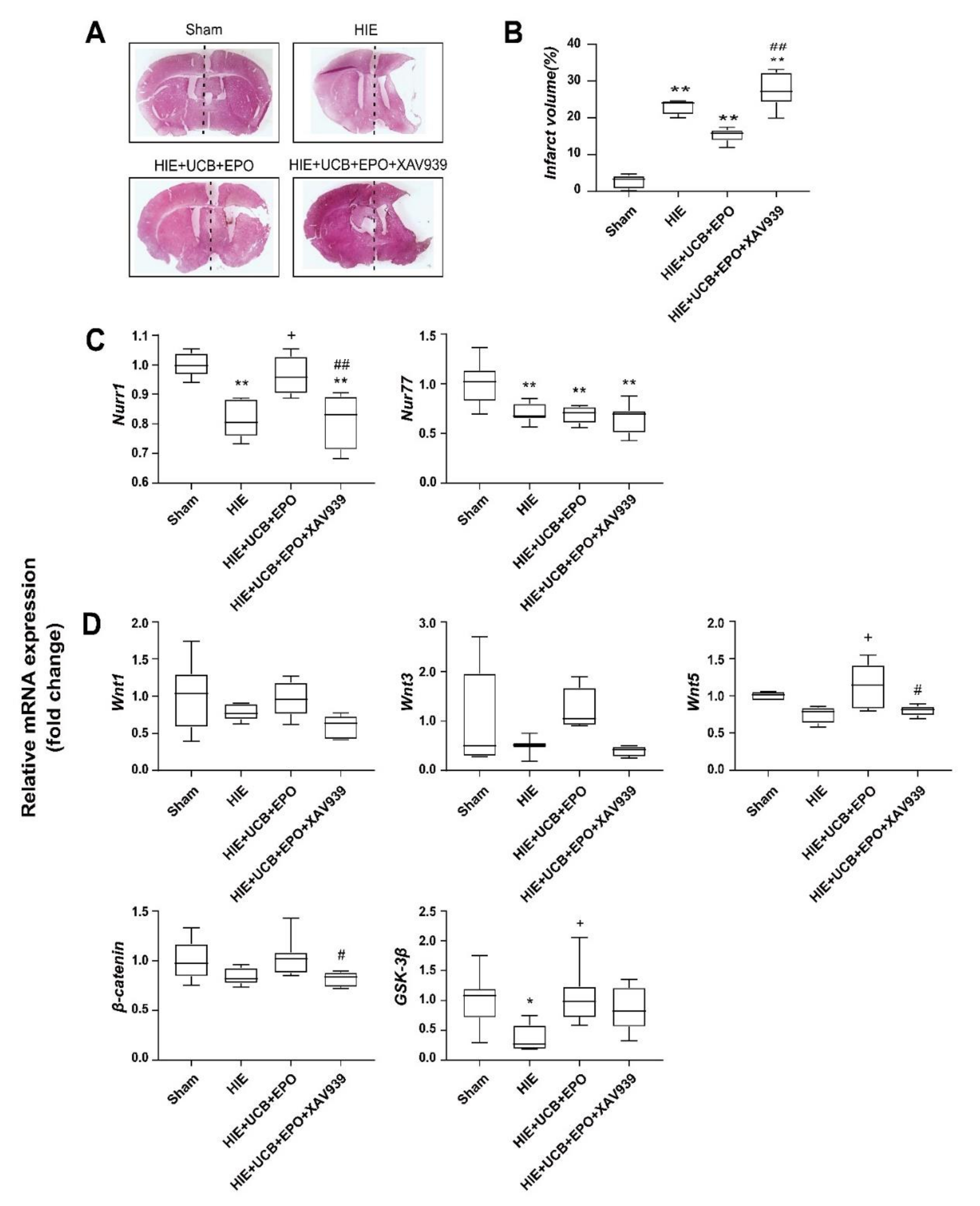 Ijms 23 02900 g005 Ijms 23 02900 g005