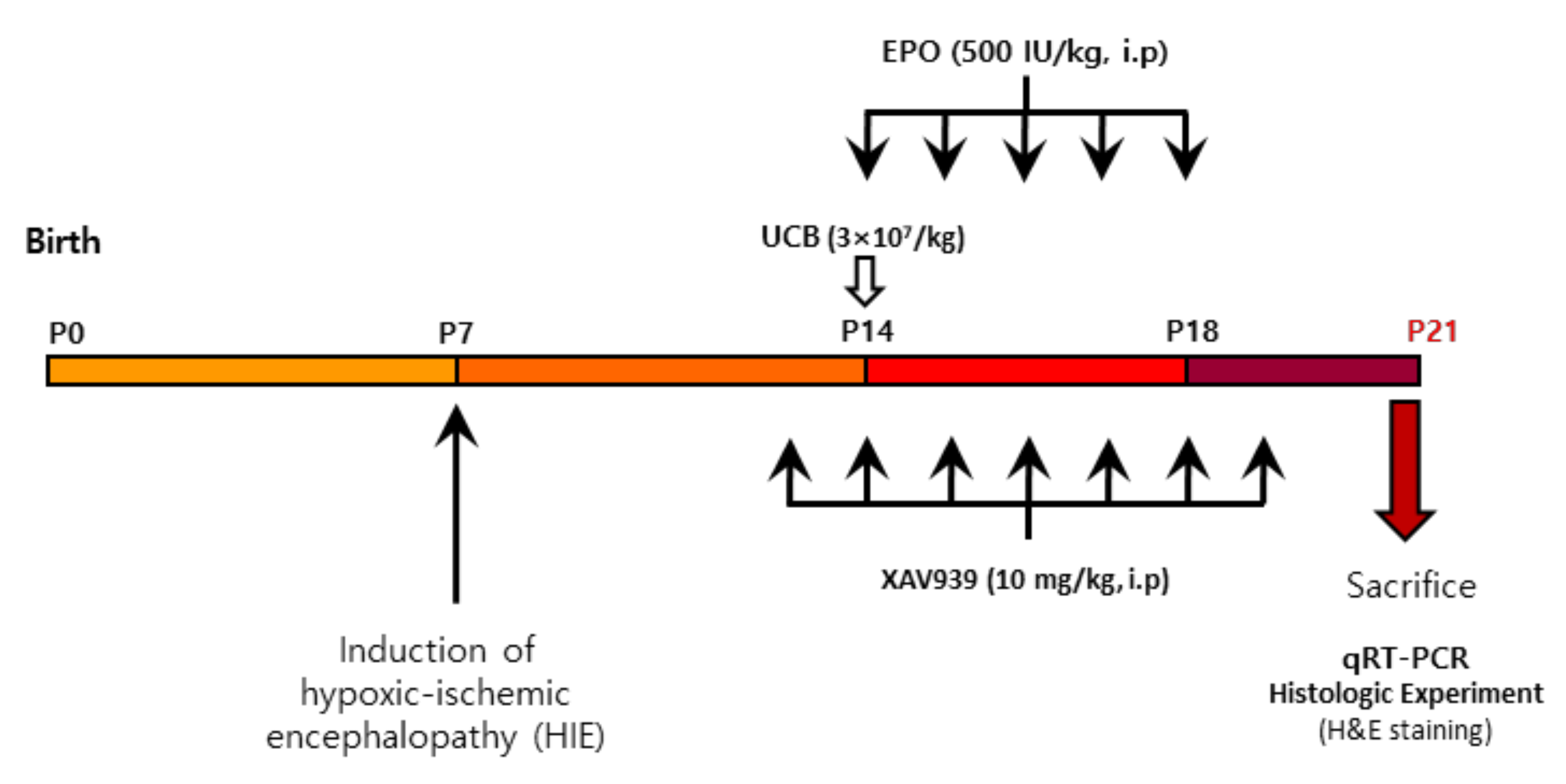 Ijms 23 02900 g006 Ijms 23 02900 g006