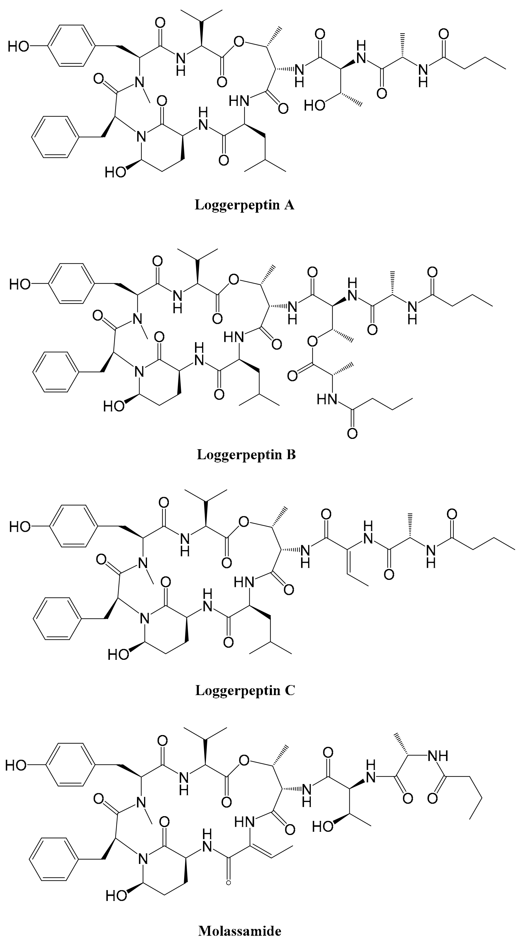Ijms 23 02924 g006 Ijms 23 02924 g006
