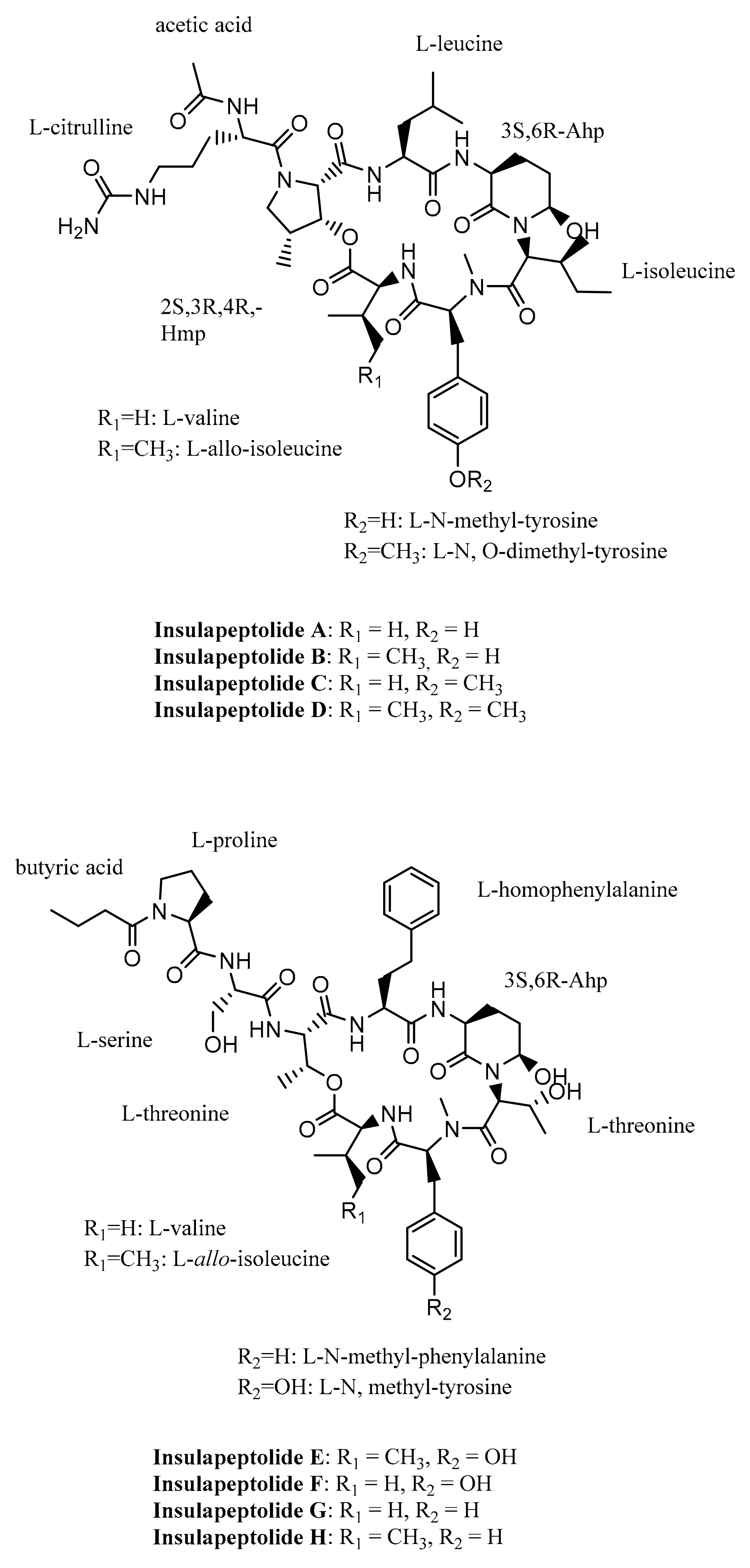 Ijms 23 02924 g008 Ijms 23 02924 g008
