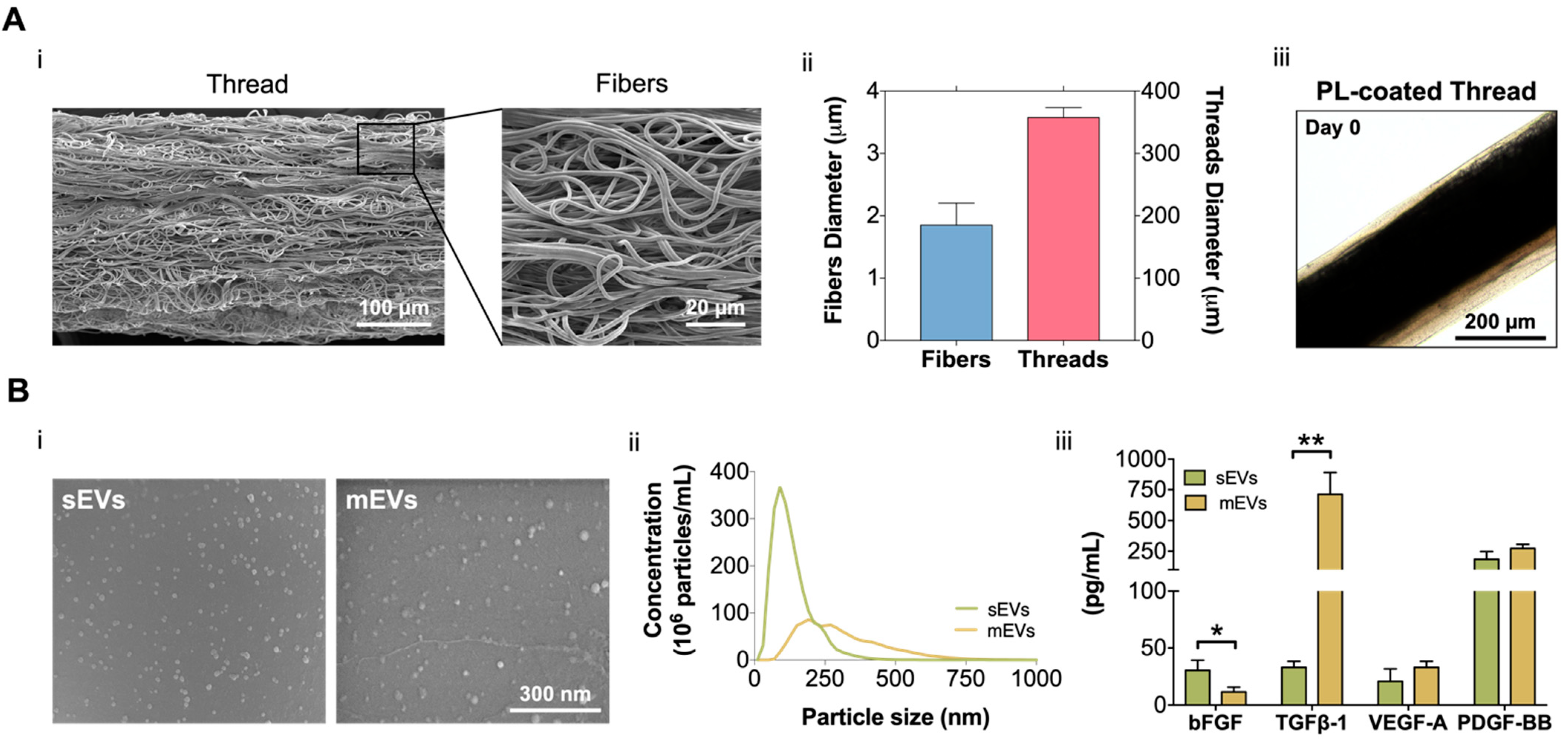 Ijms 23 02948 g001 Ijms 23 02948 g001