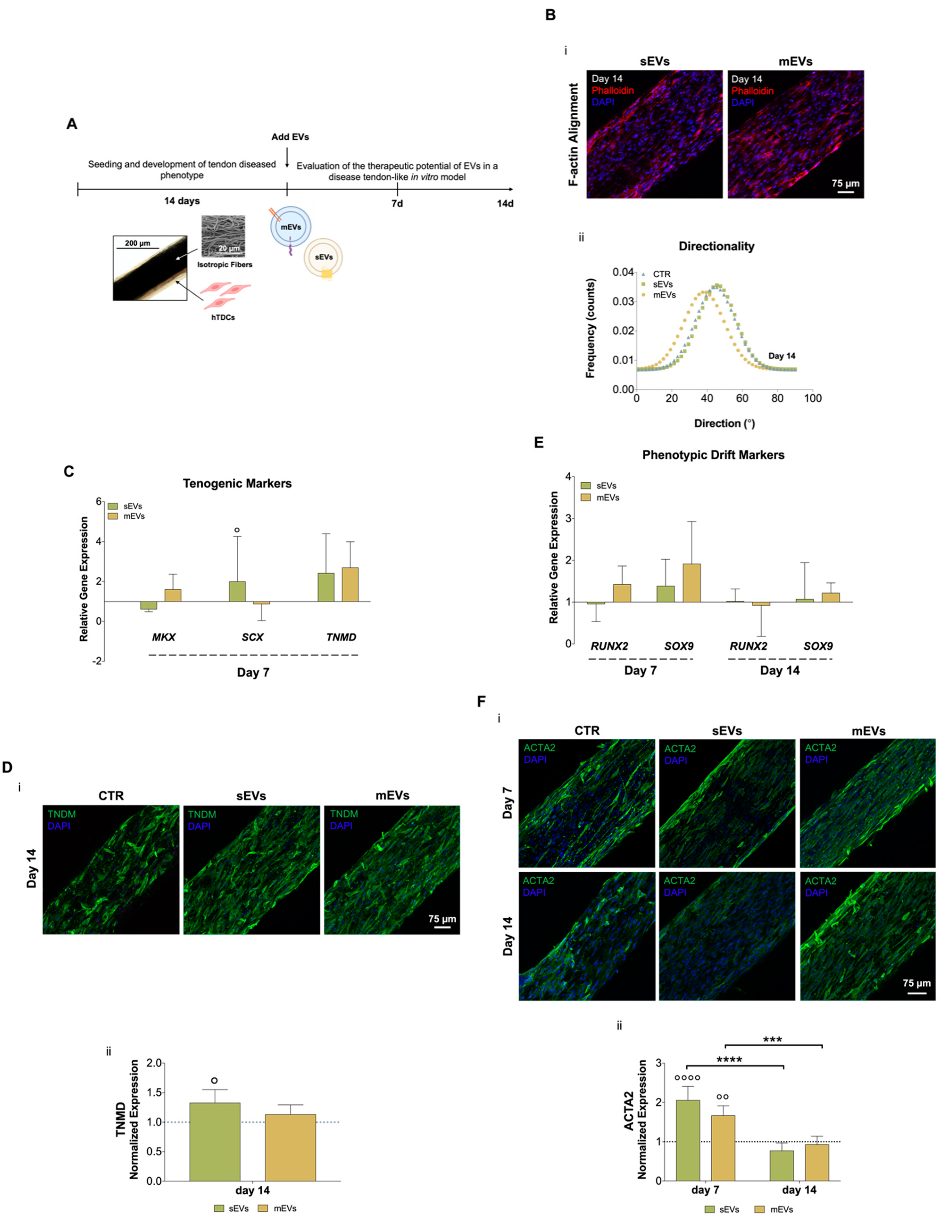 Ijms 23 02948 g002 Ijms 23 02948 g002