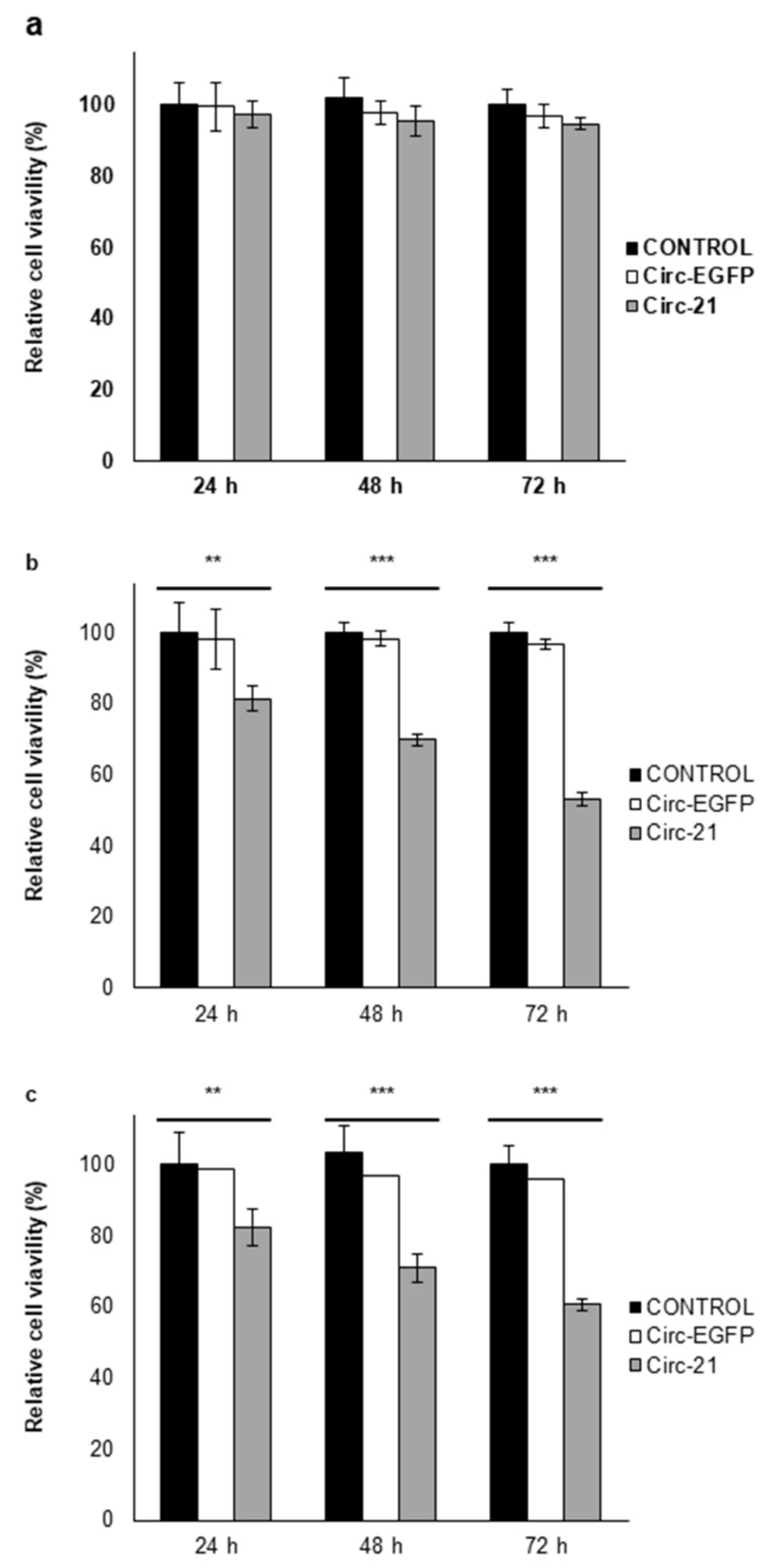 Ijms 23 02963 g004 Ijms 23 02963 g004