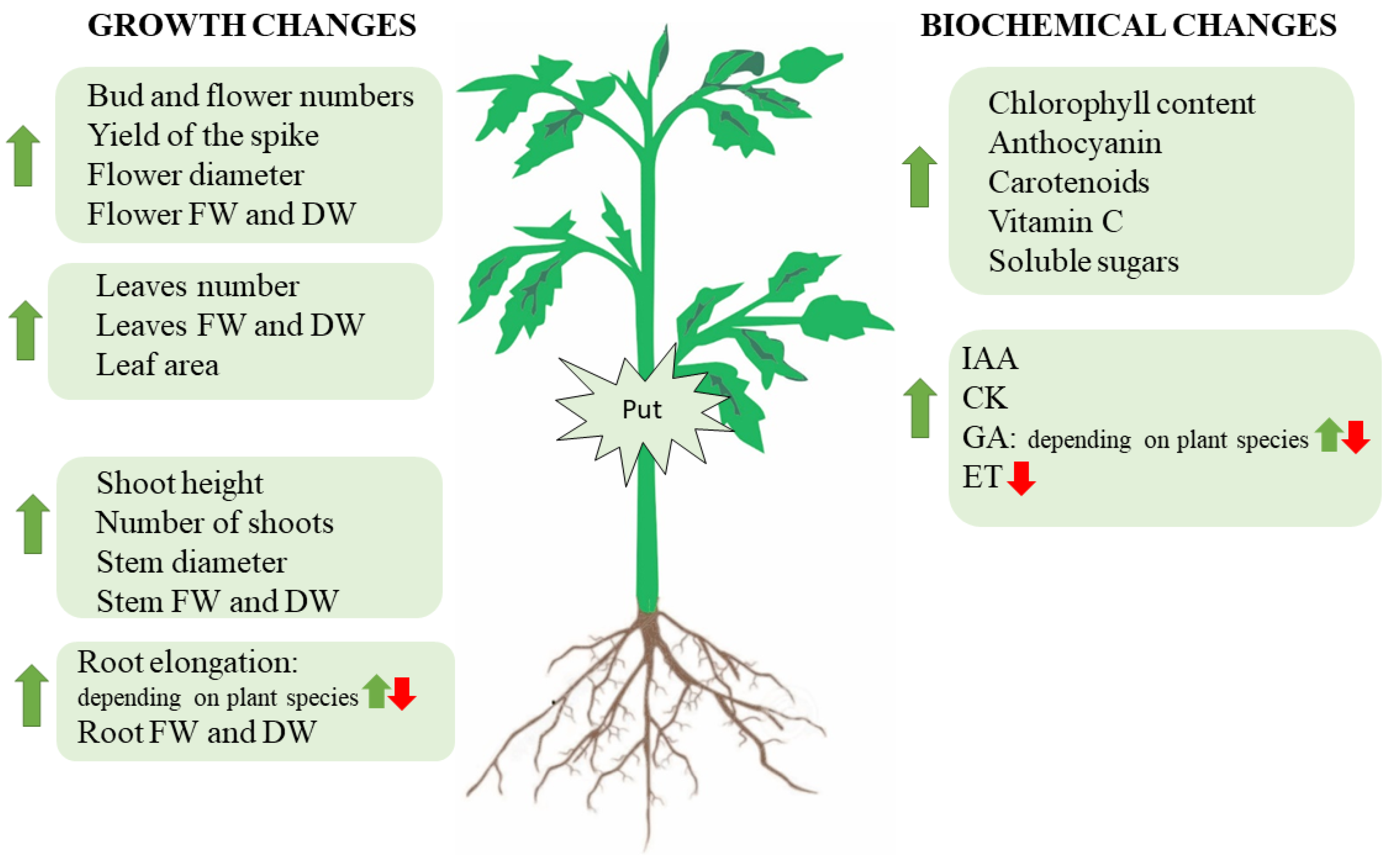Ijms 23 02971 g002 Ijms 23 02971 g002