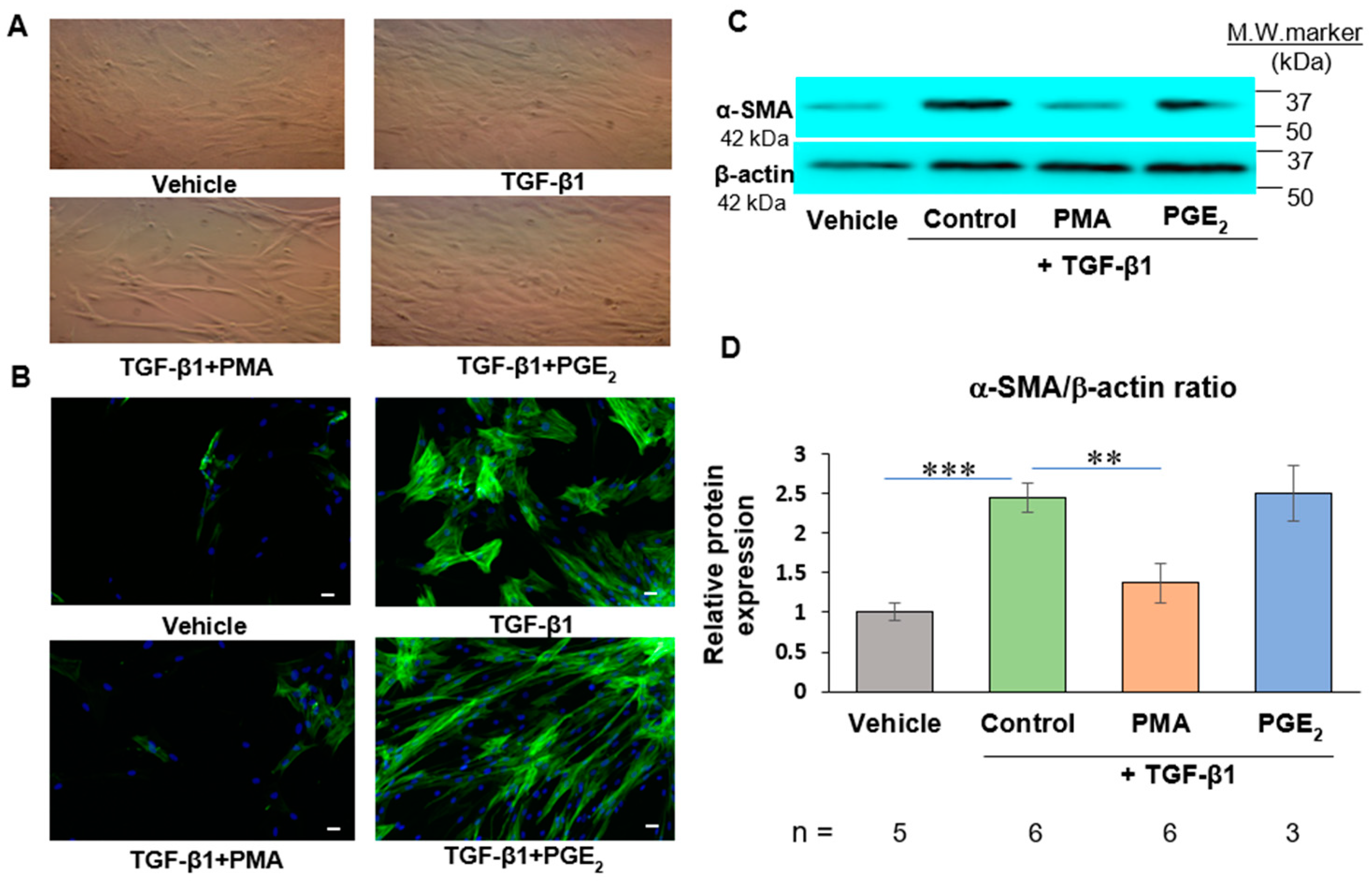 Ijms 23 03023 g002 Ijms 23 03023 g002