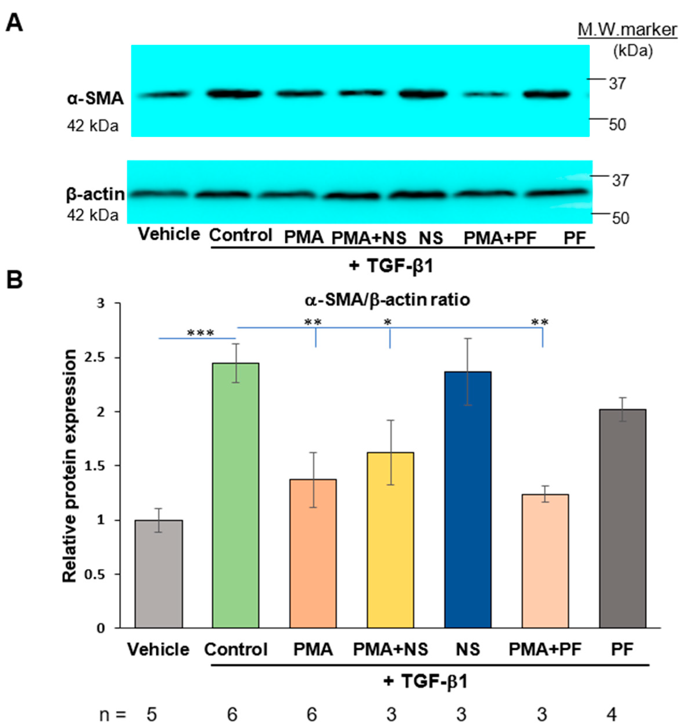 Ijms 23 03023 g004 Ijms 23 03023 g004