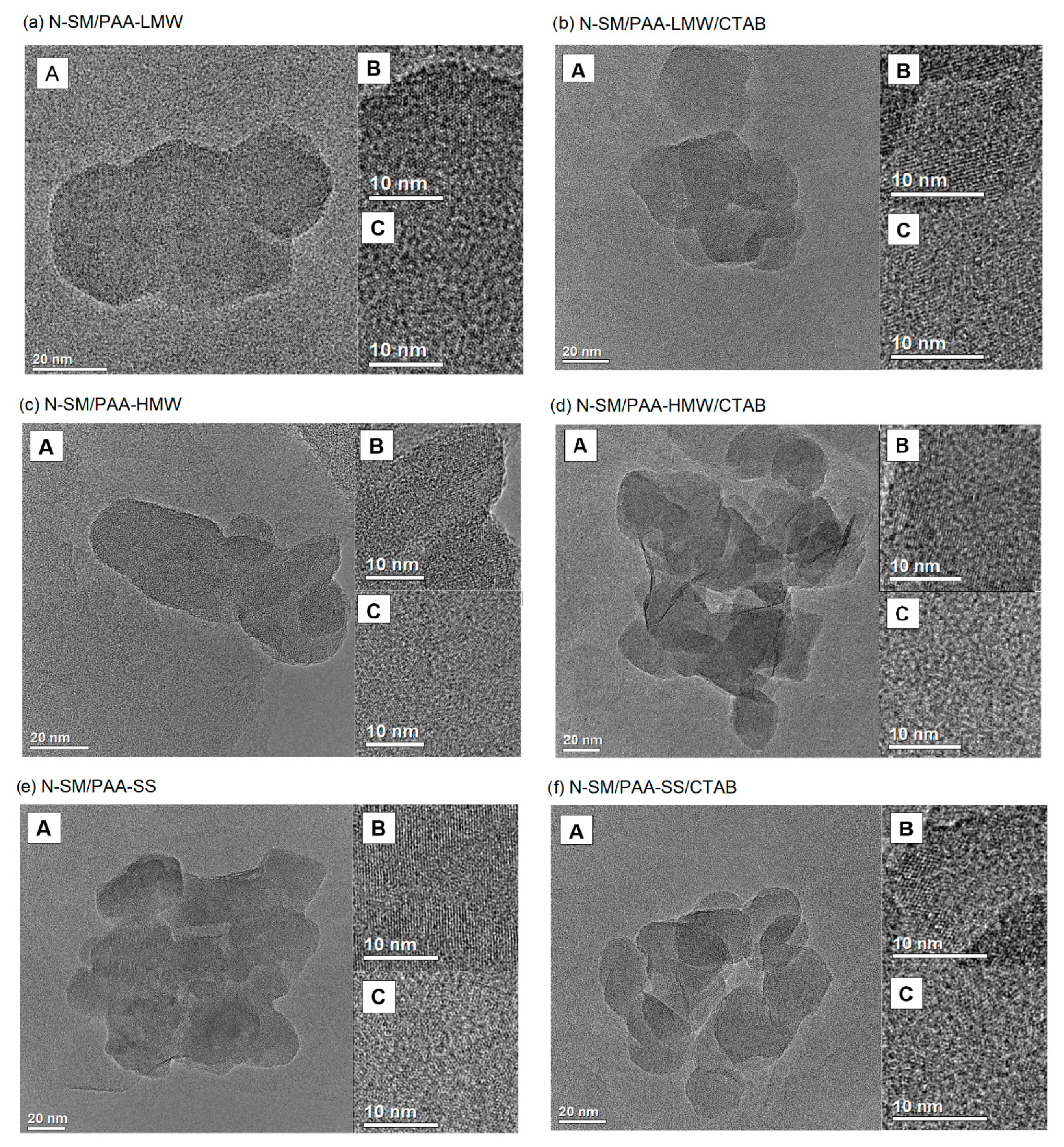 Ijms 23 03051 g004 Ijms 23 03051 g004