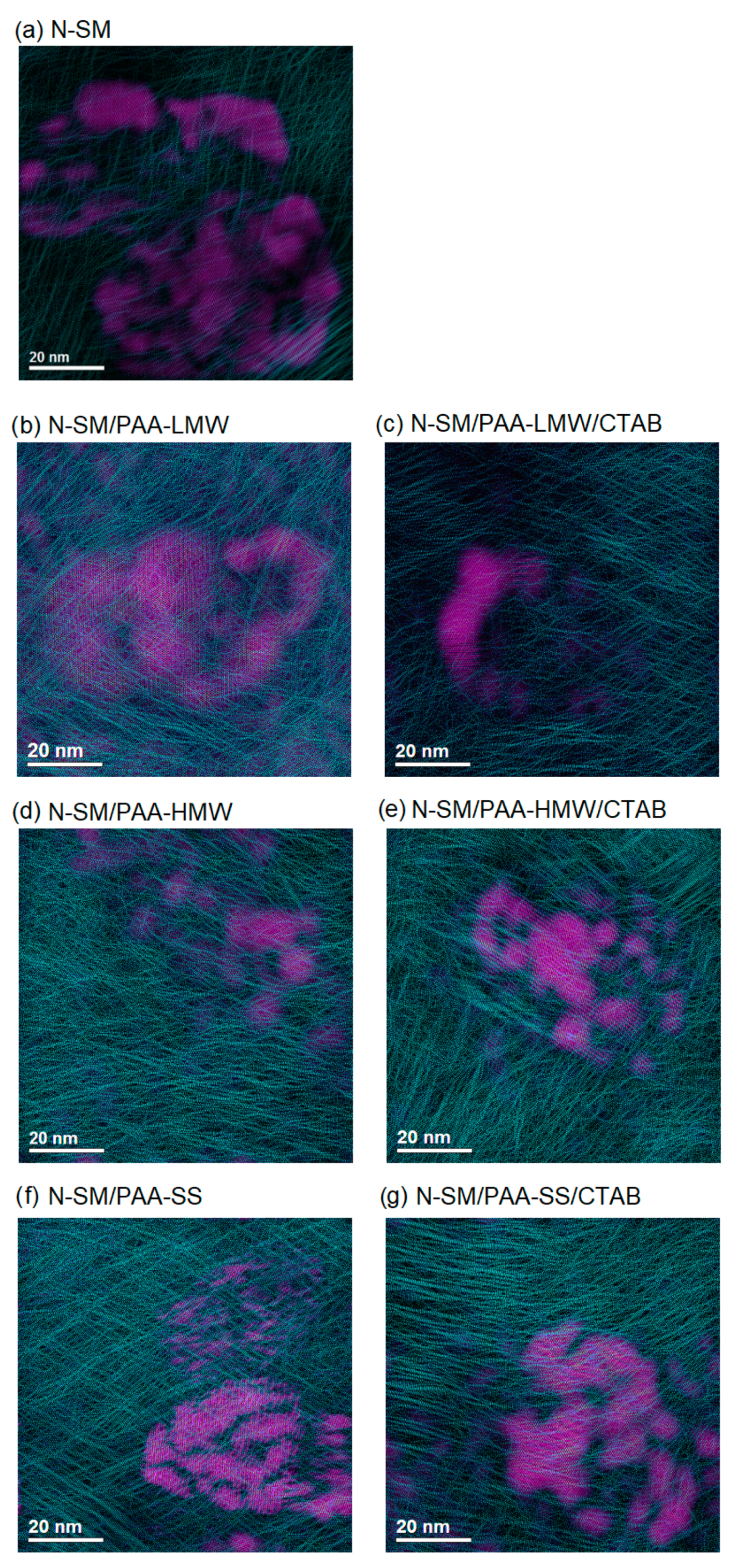 Ijms 23 03051 g005 Ijms 23 03051 g005