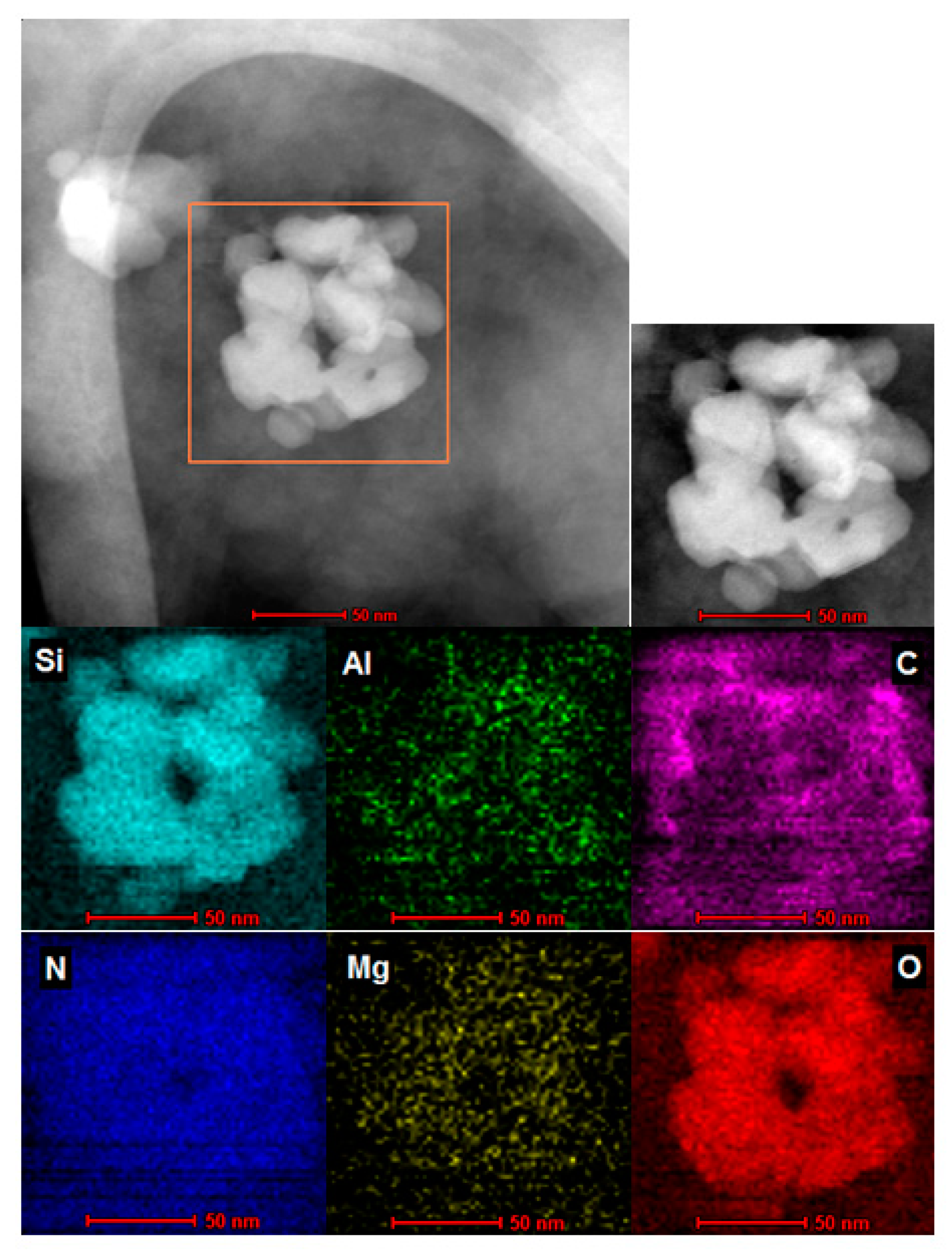 Ijms 23 03051 g0a4 Ijms 23 03051 g0a4